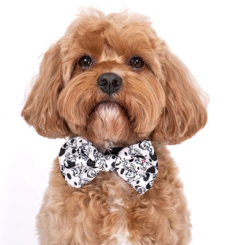 101 Dalmatians: Bow Tie - Image 3