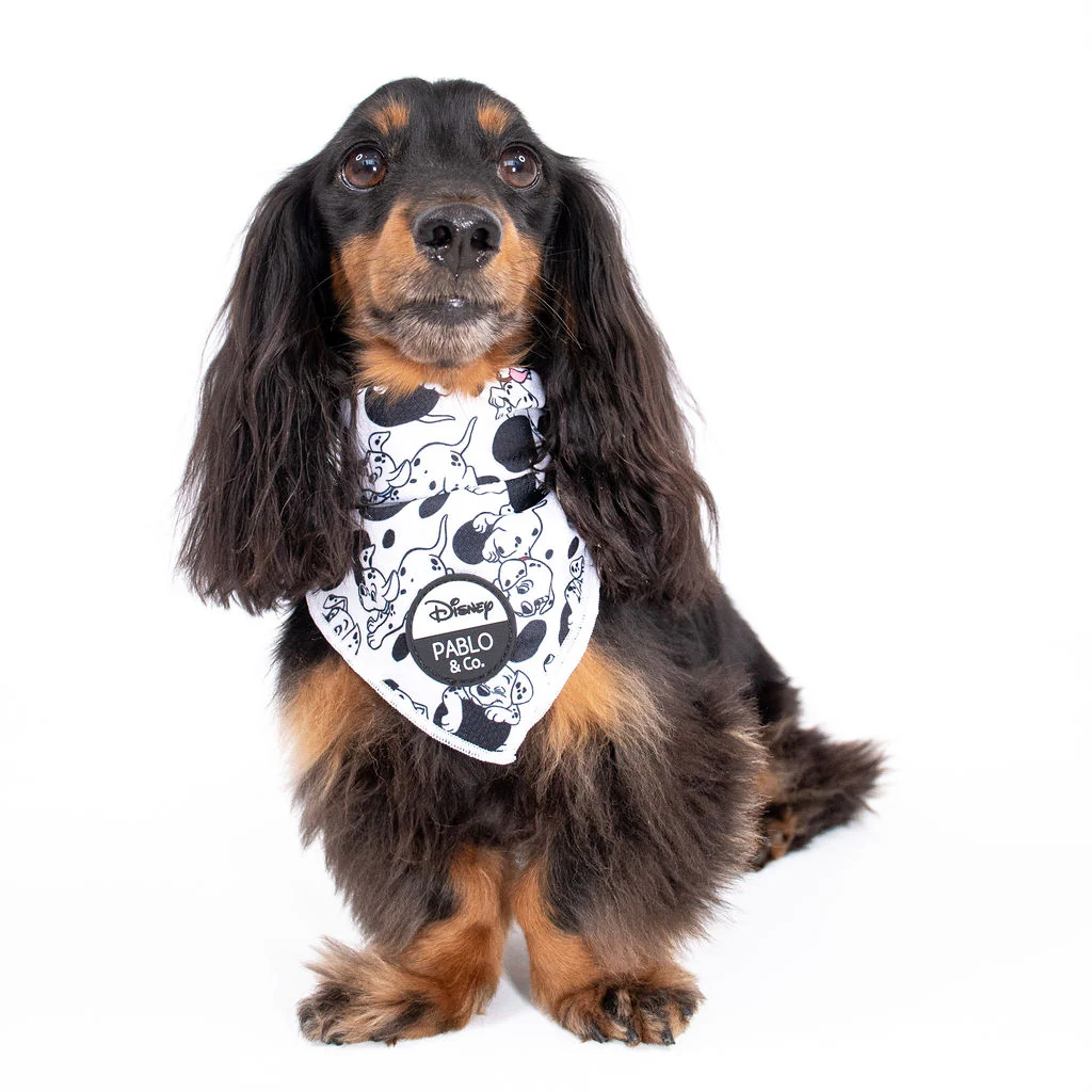 101 Dalmatians: Dog Bandana - Image 7