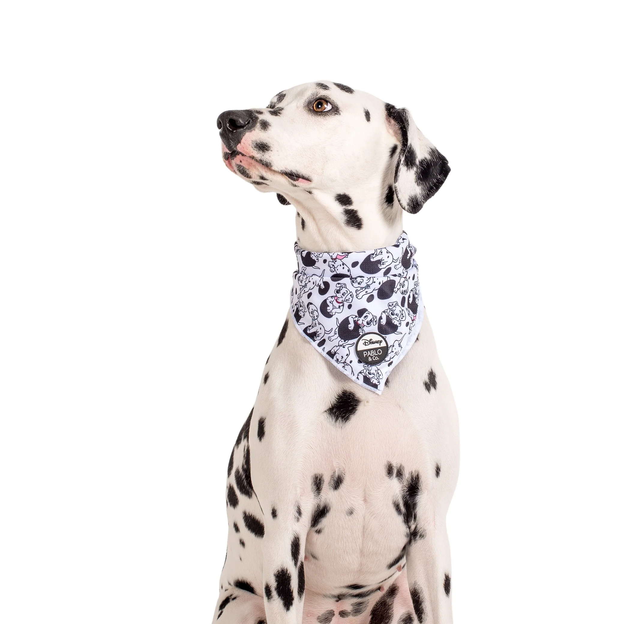 101 Dalmatians: Dog Bandana - Image 8