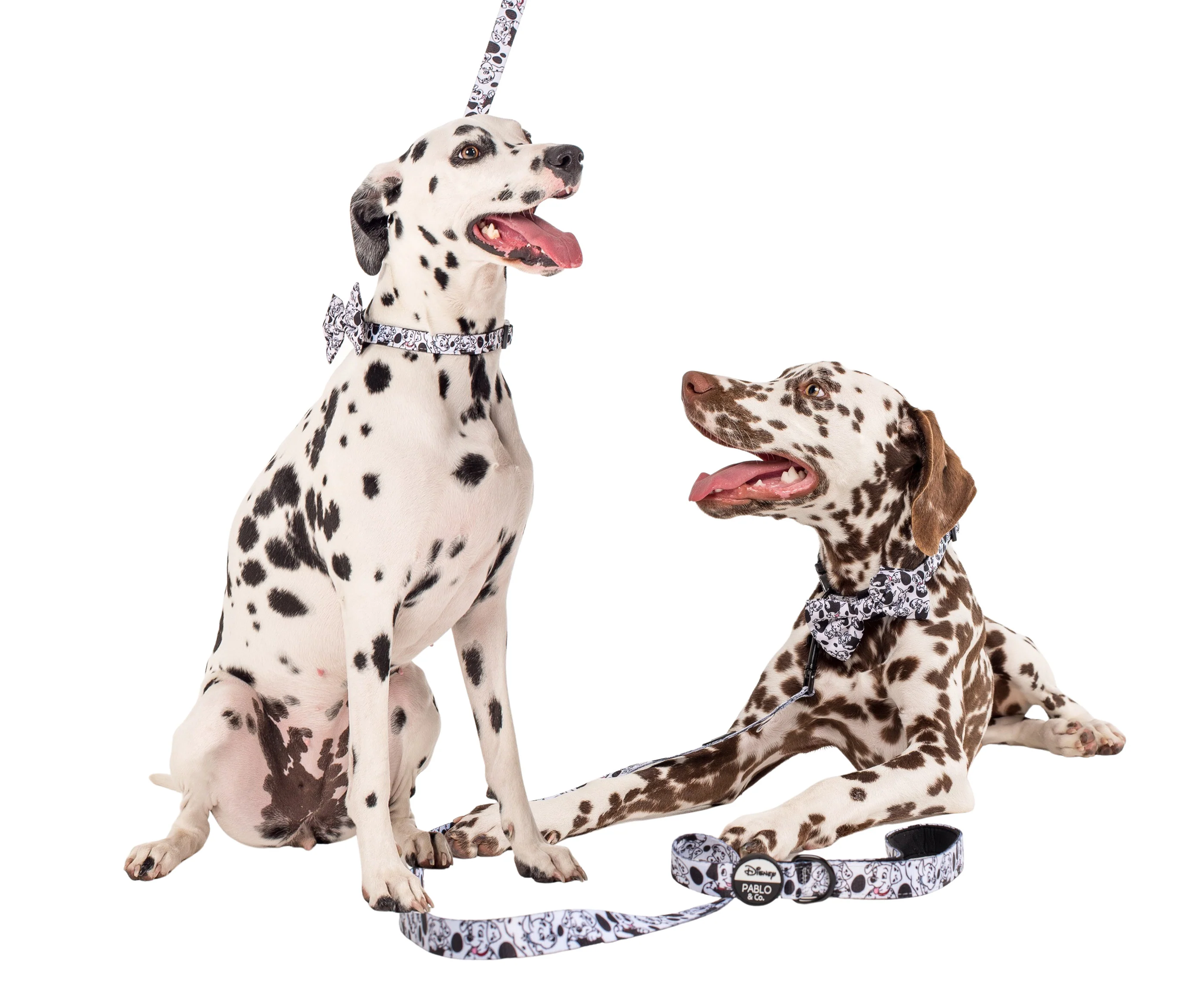 101 Dalmatians: Dog Collar - Image 3