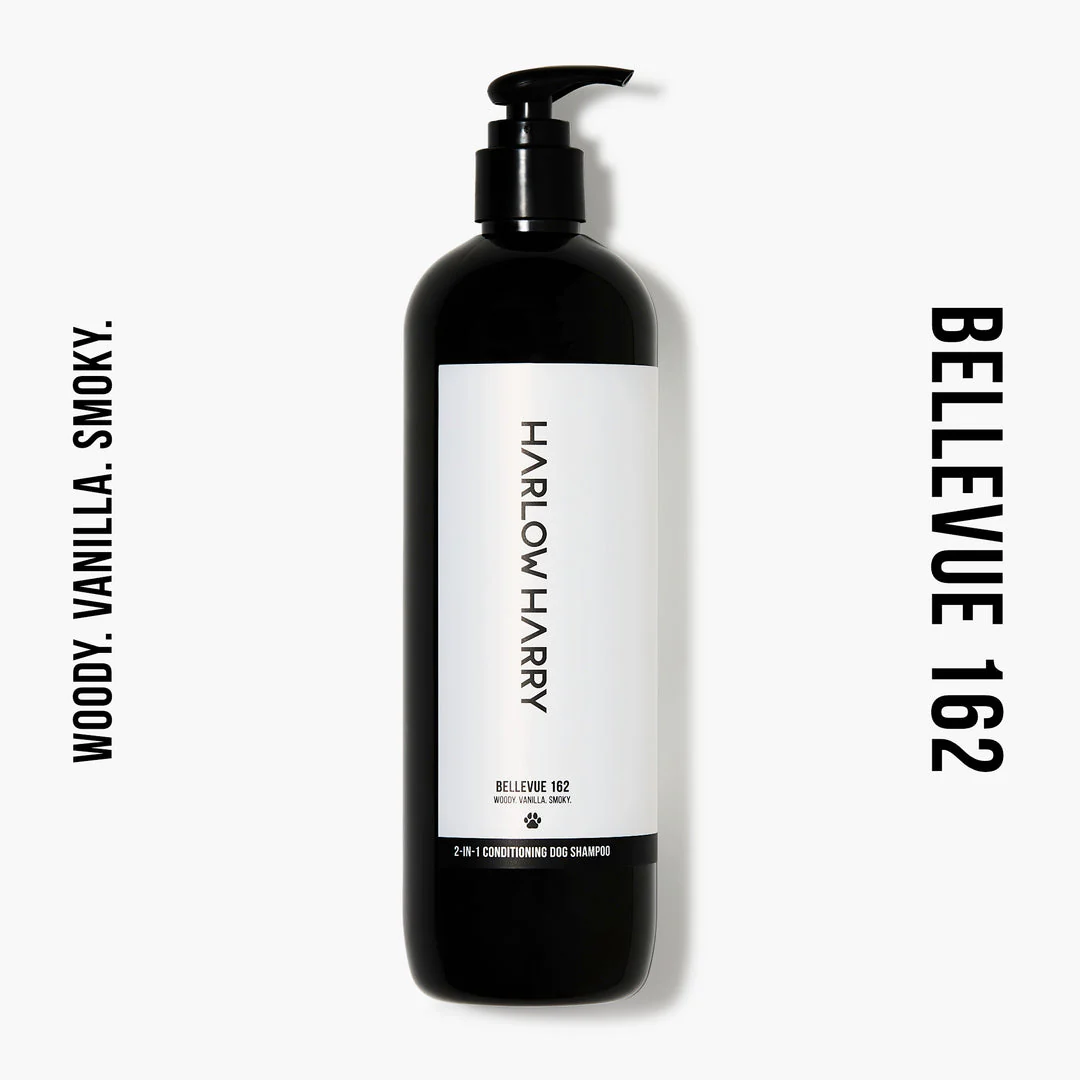 Harlow Harry: 2-in-1 Conditioning Dog Shampoo | Bellevue 162