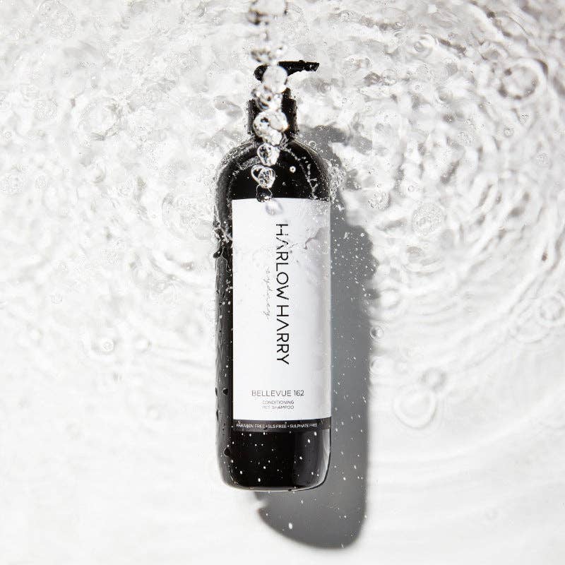 Harlow Harry: 2-in-1 Conditioning Dog Shampoo | Bellevue 162 - Image 2