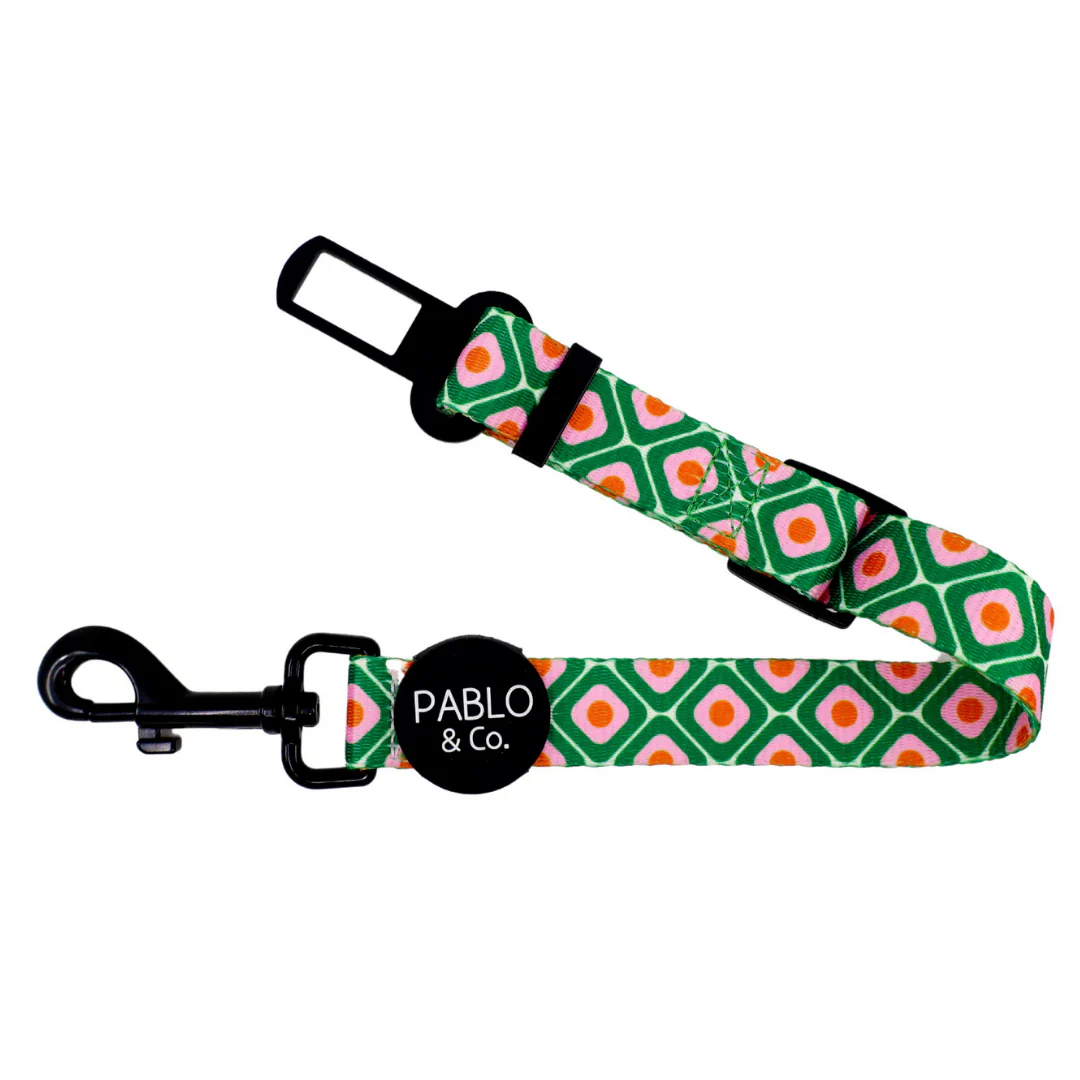 70's Style: Adjustable Car Restraint