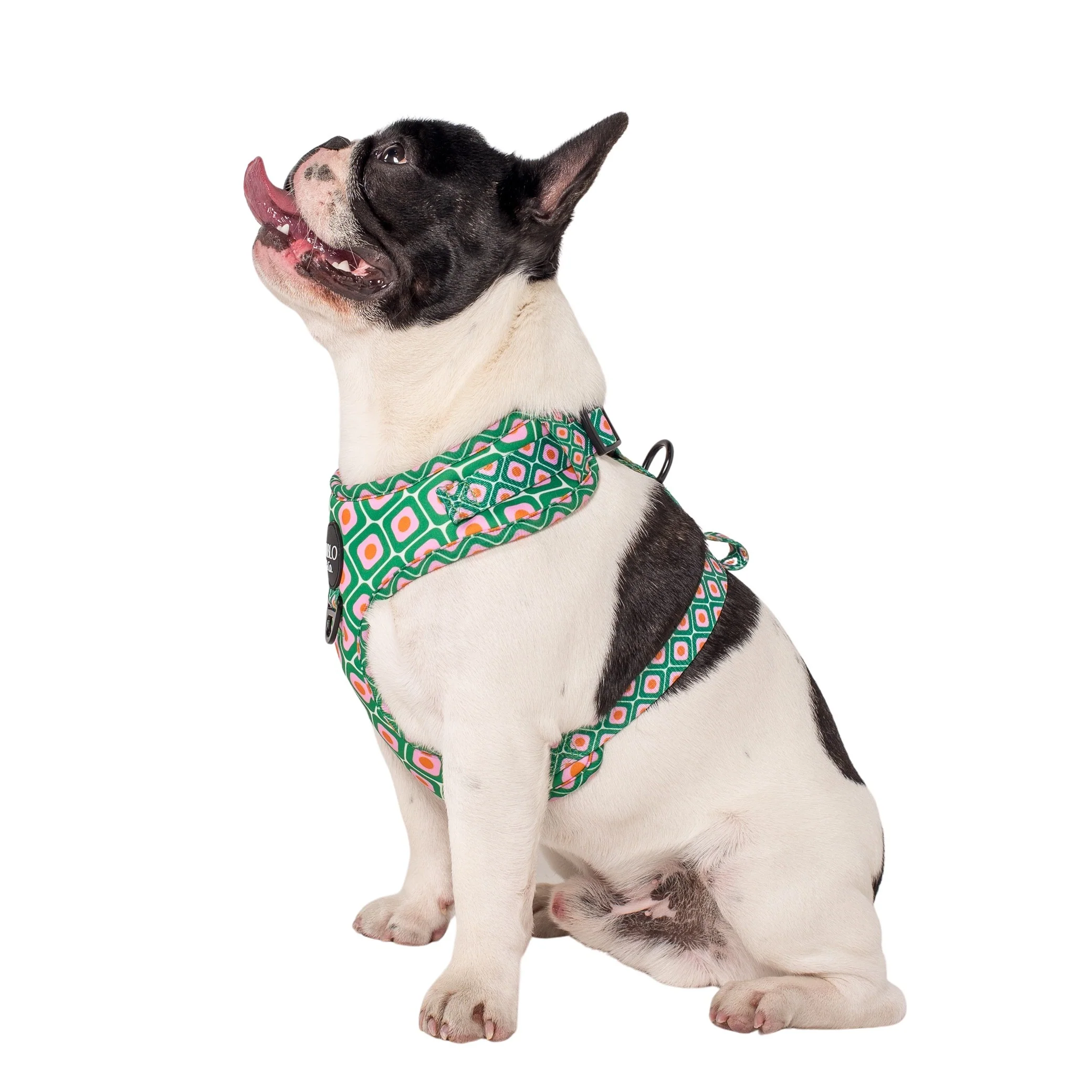 70's Style: Adjustable Harness - Image 7