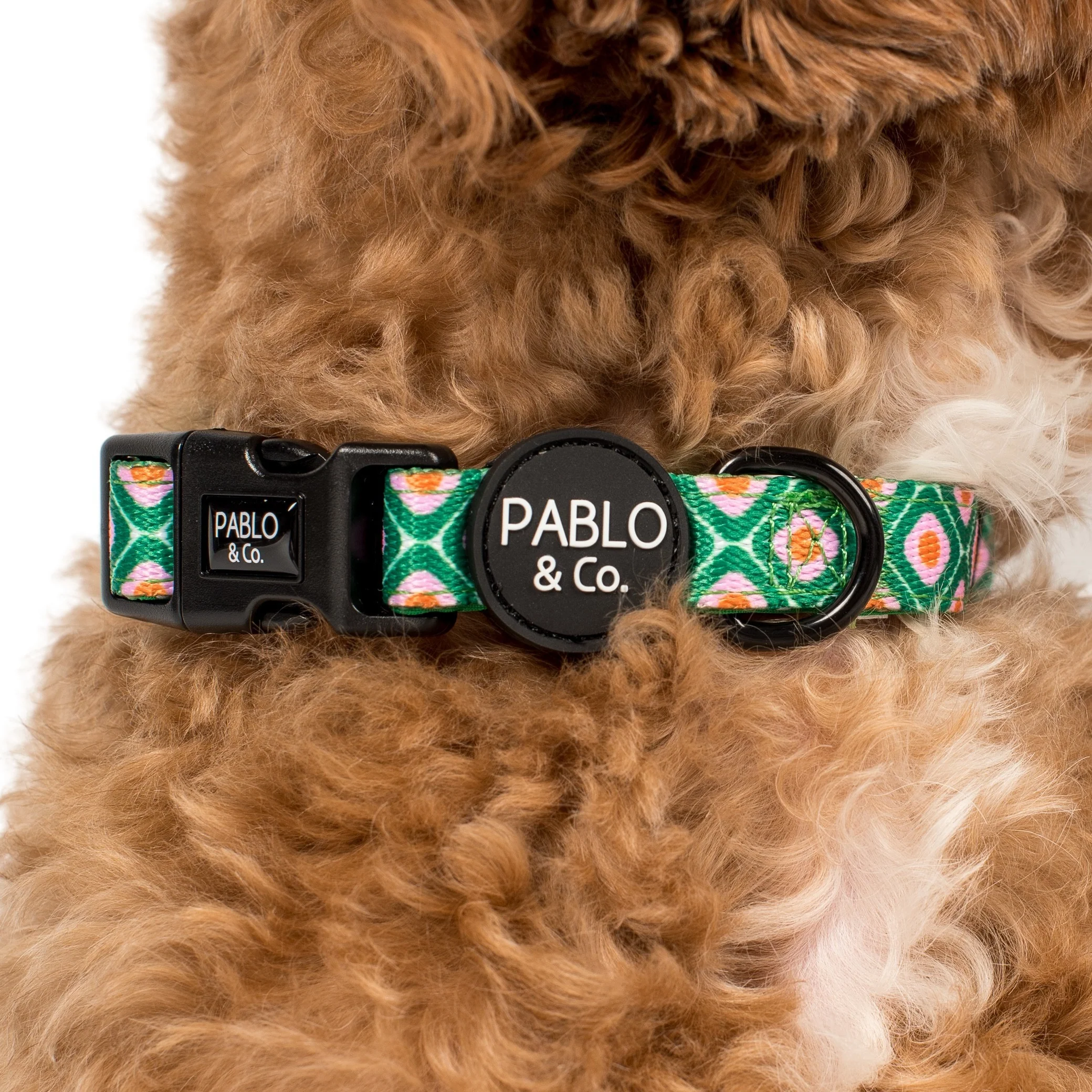 70's Style: Collar