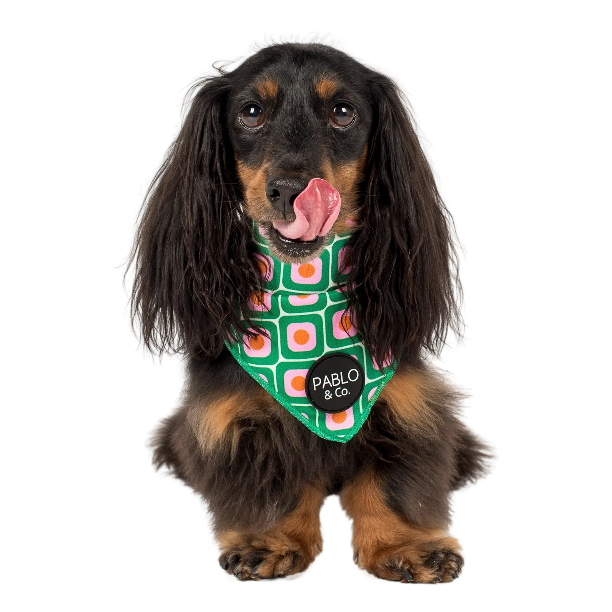 70's Style - Dog Bandana - Image 3