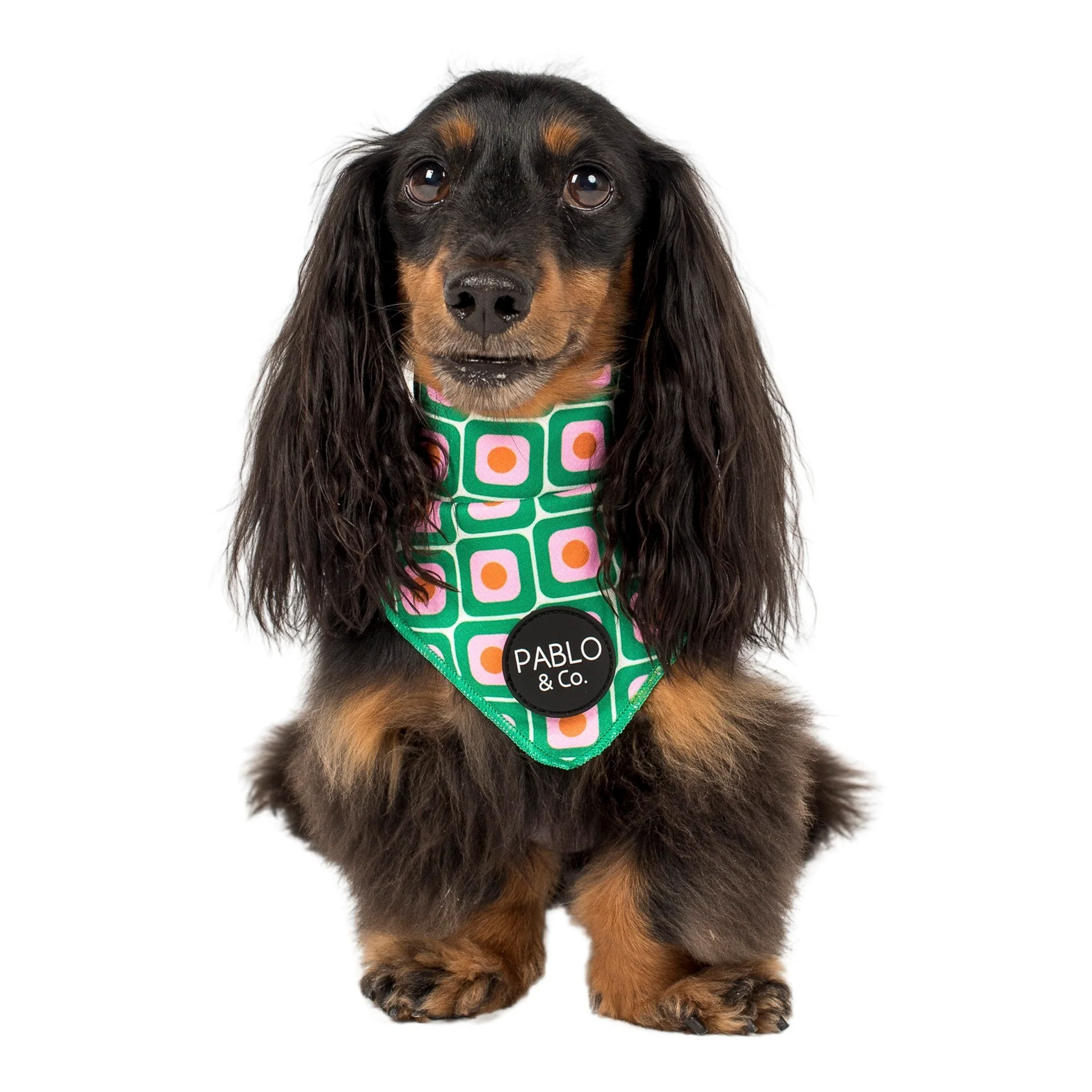70's Style - Dog Bandana - Image 4