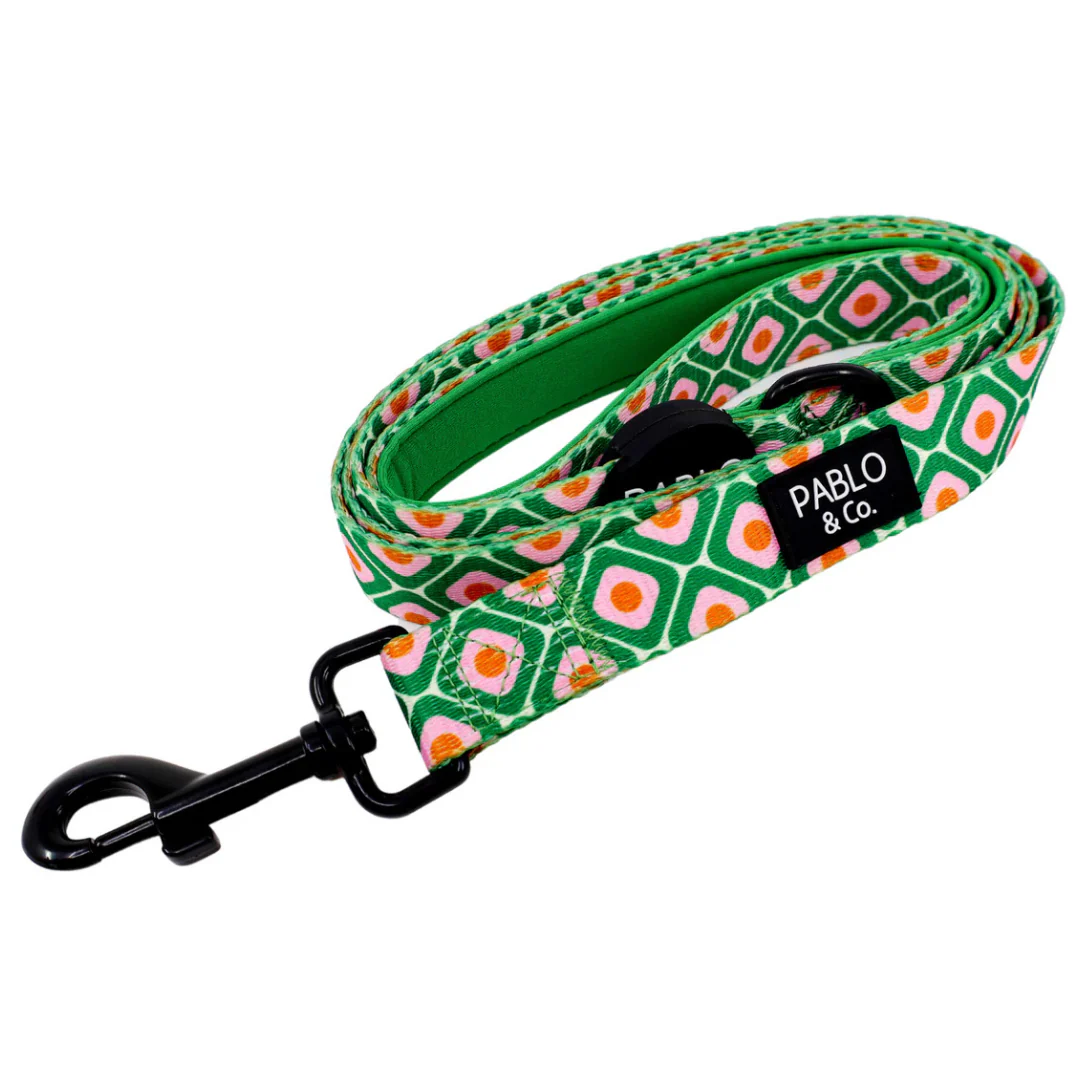 70's Style: Dog Leash
