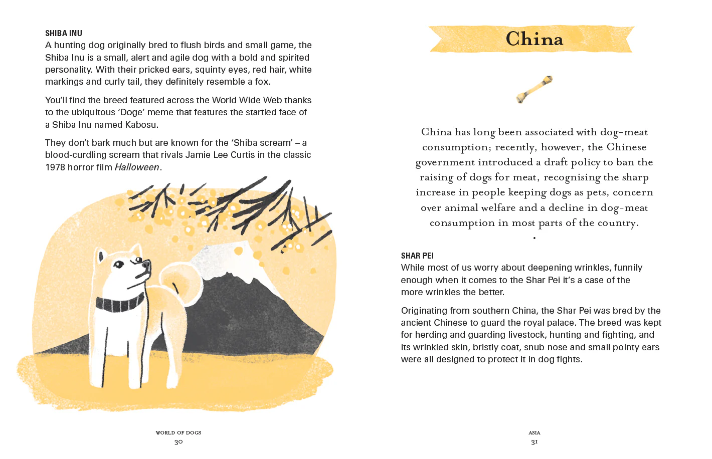World of Dogs Book - Image 4