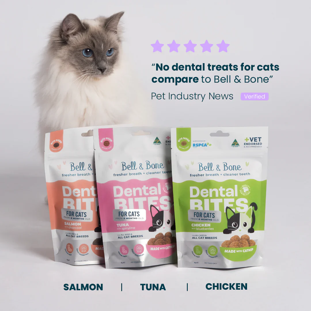 Bell & Bone Adult Cat Dental Bites - Image 4
