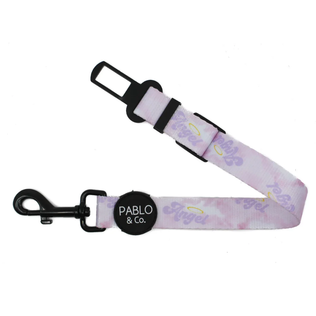 Angel: Adjustable Car Restraint