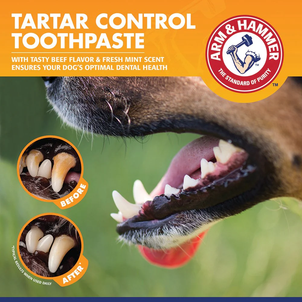 Arm & Hammer Adult Dog Toothpaste: Beef - Image 2