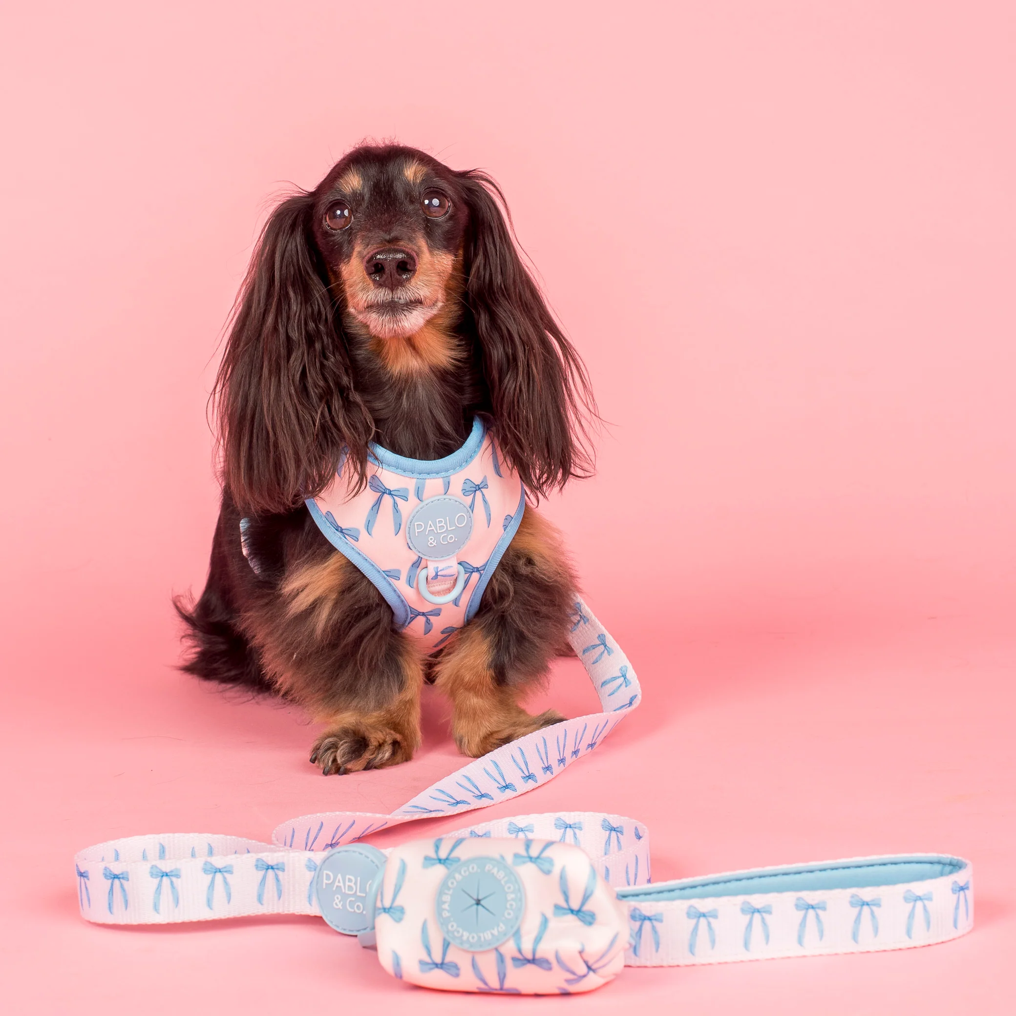 Baby Blue Bows: Adjustable Harness - Image 6