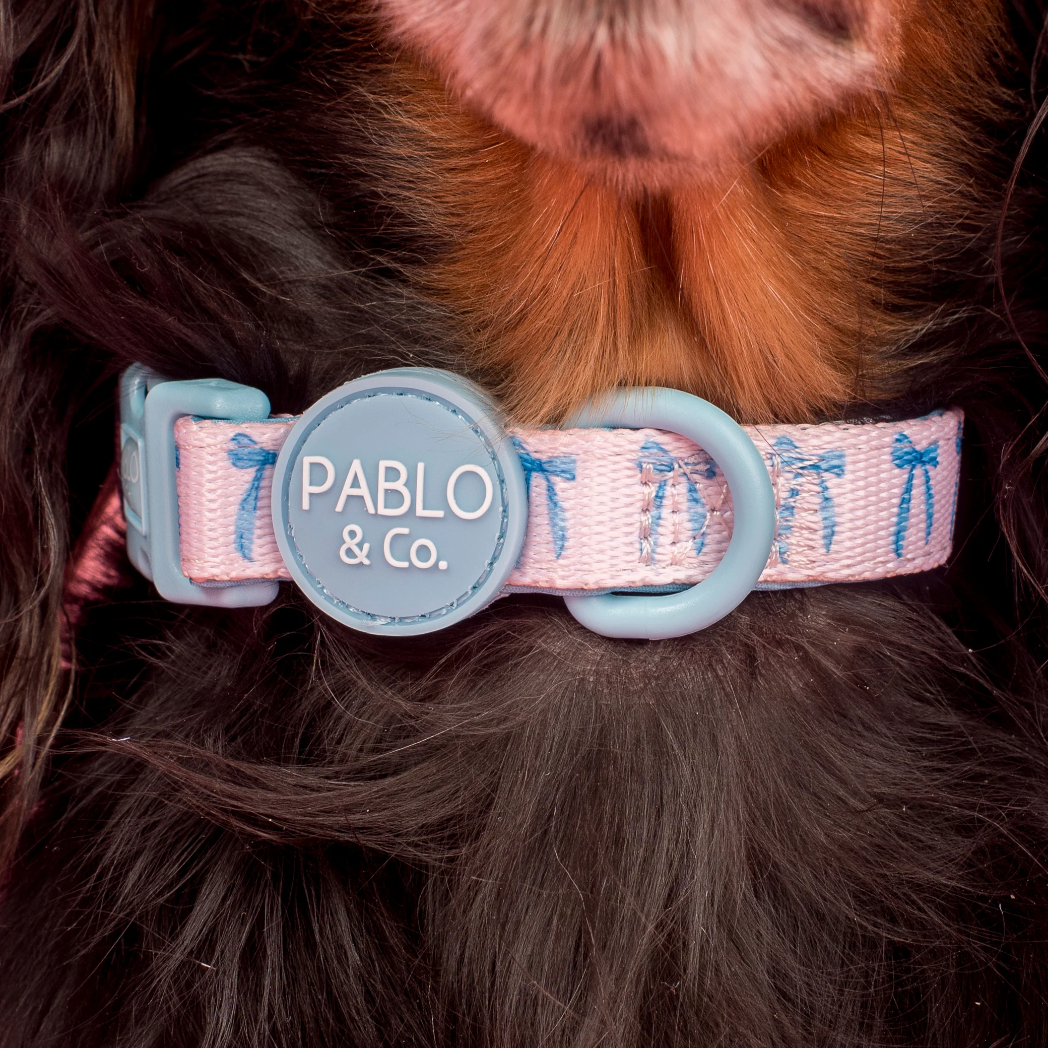 Baby Blue Bows: Collar - Image 2
