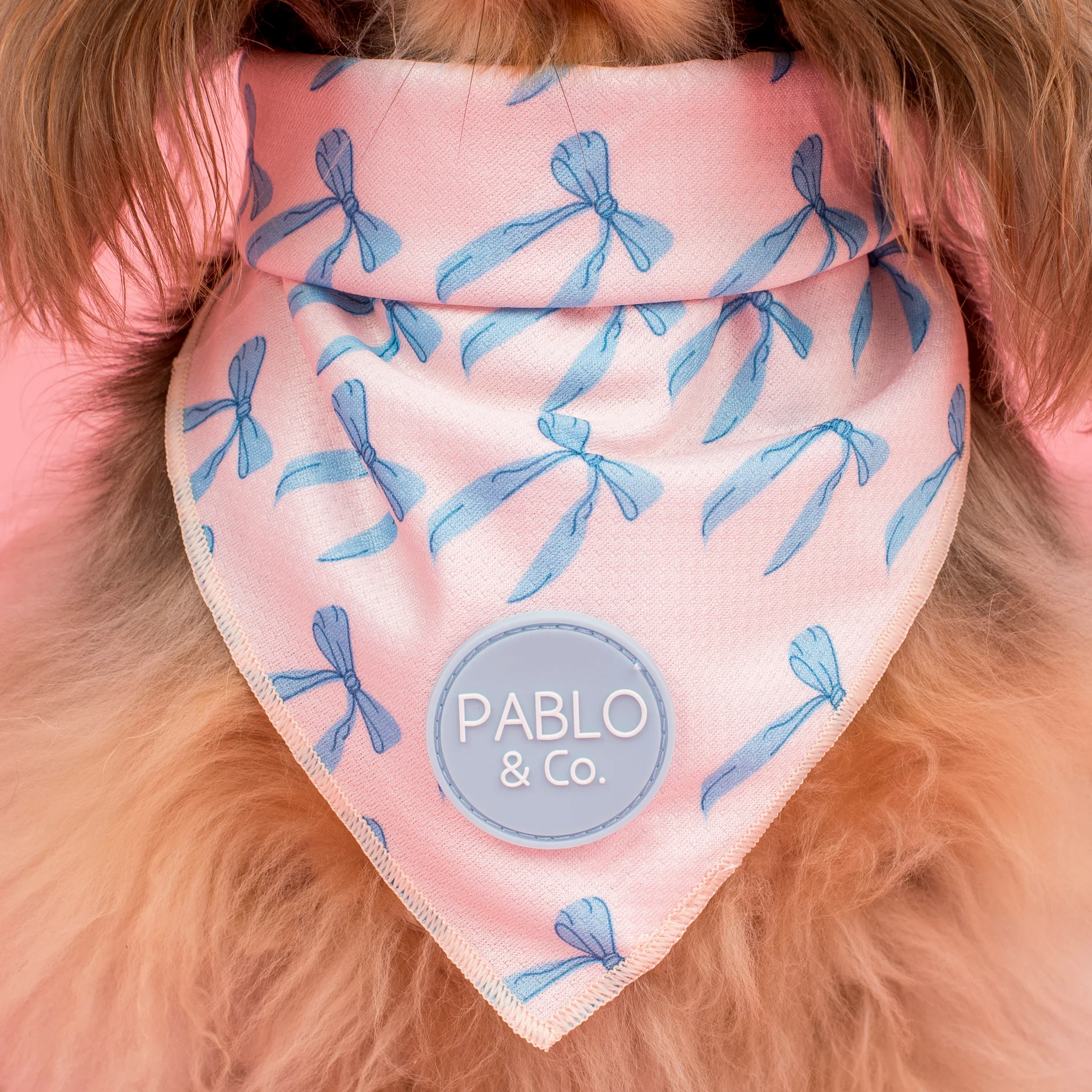 Baby Blue Bows: Dog Bandana - Image 2