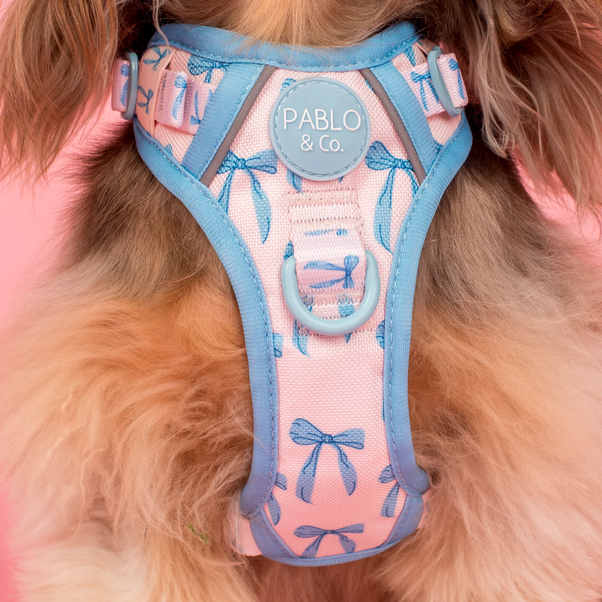 Baby Blue Bows: No Pull Adventure Harness - Image 2