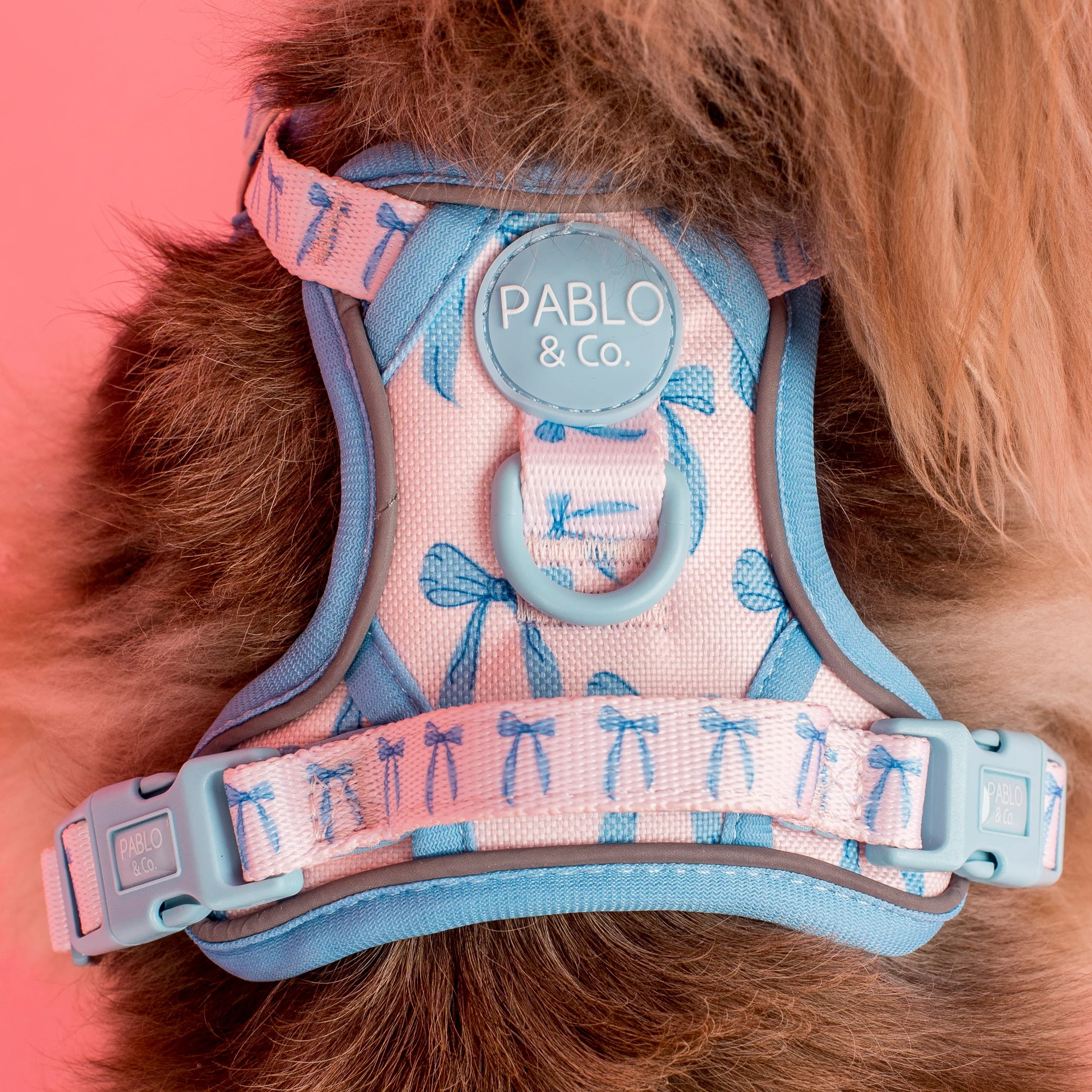 Baby Blue Bows: No Pull Adventure Harness - Image 3