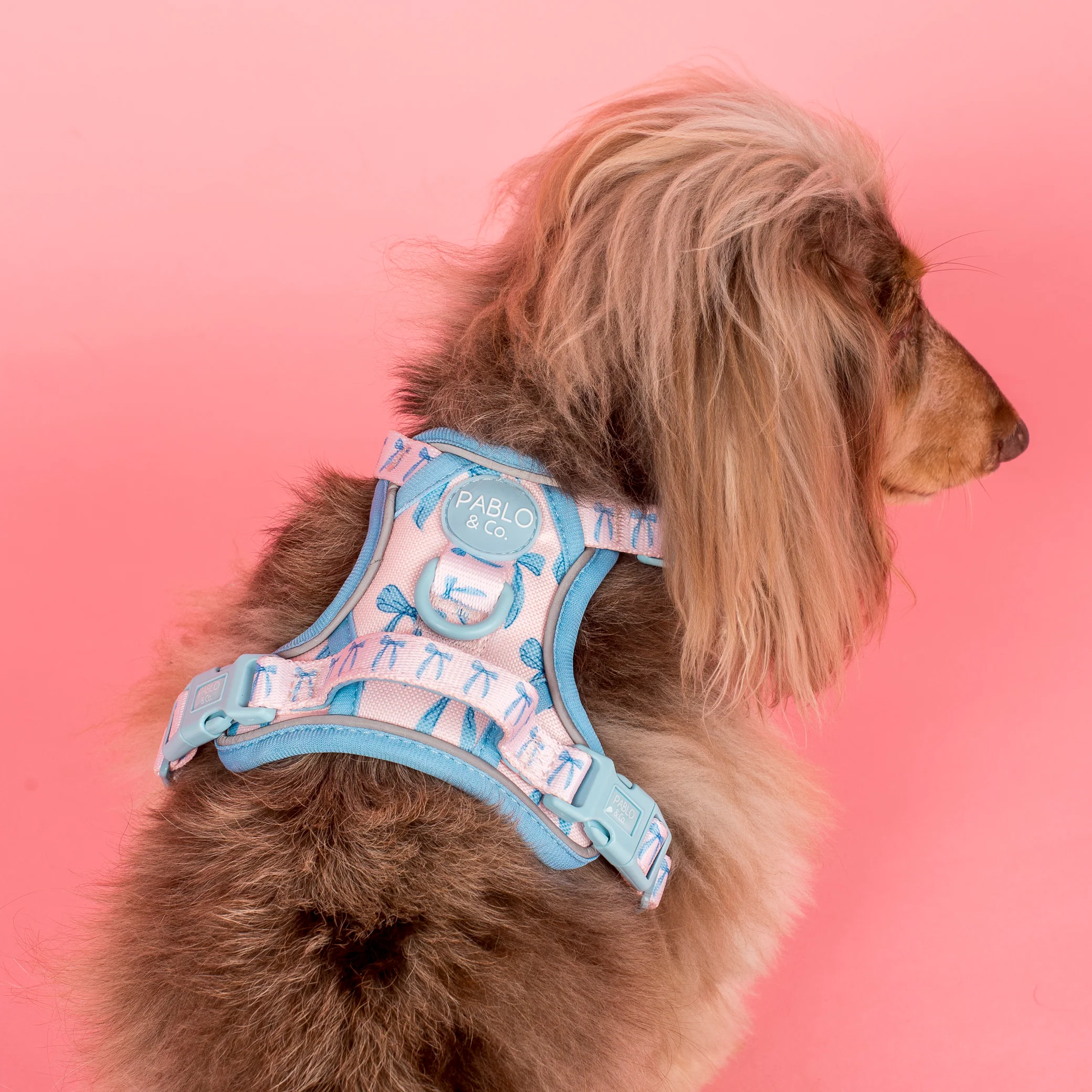 Baby Blue Bows: No Pull Adventure Harness - Image 4