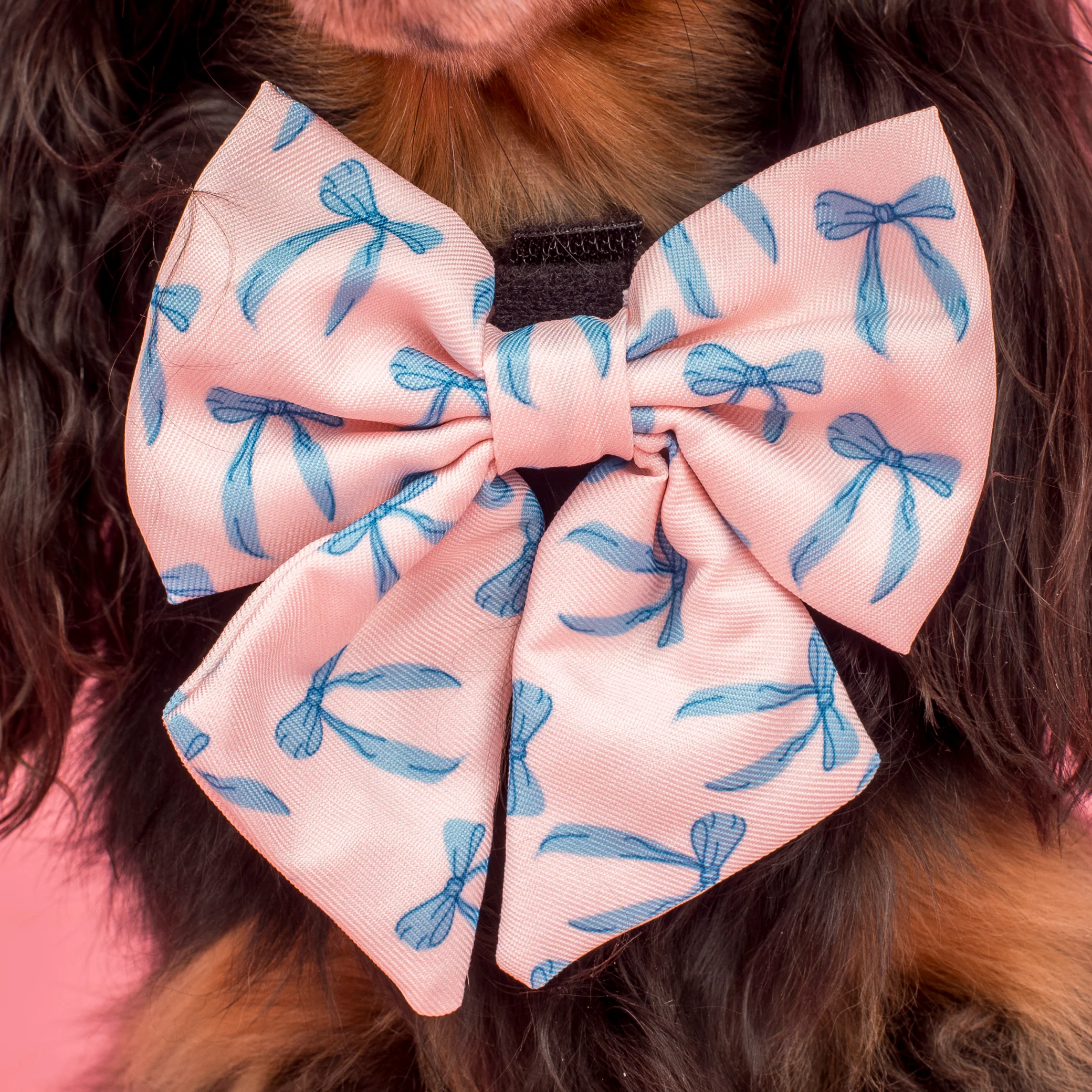 Baby Blue Bows: Sailor Bow - Image 2