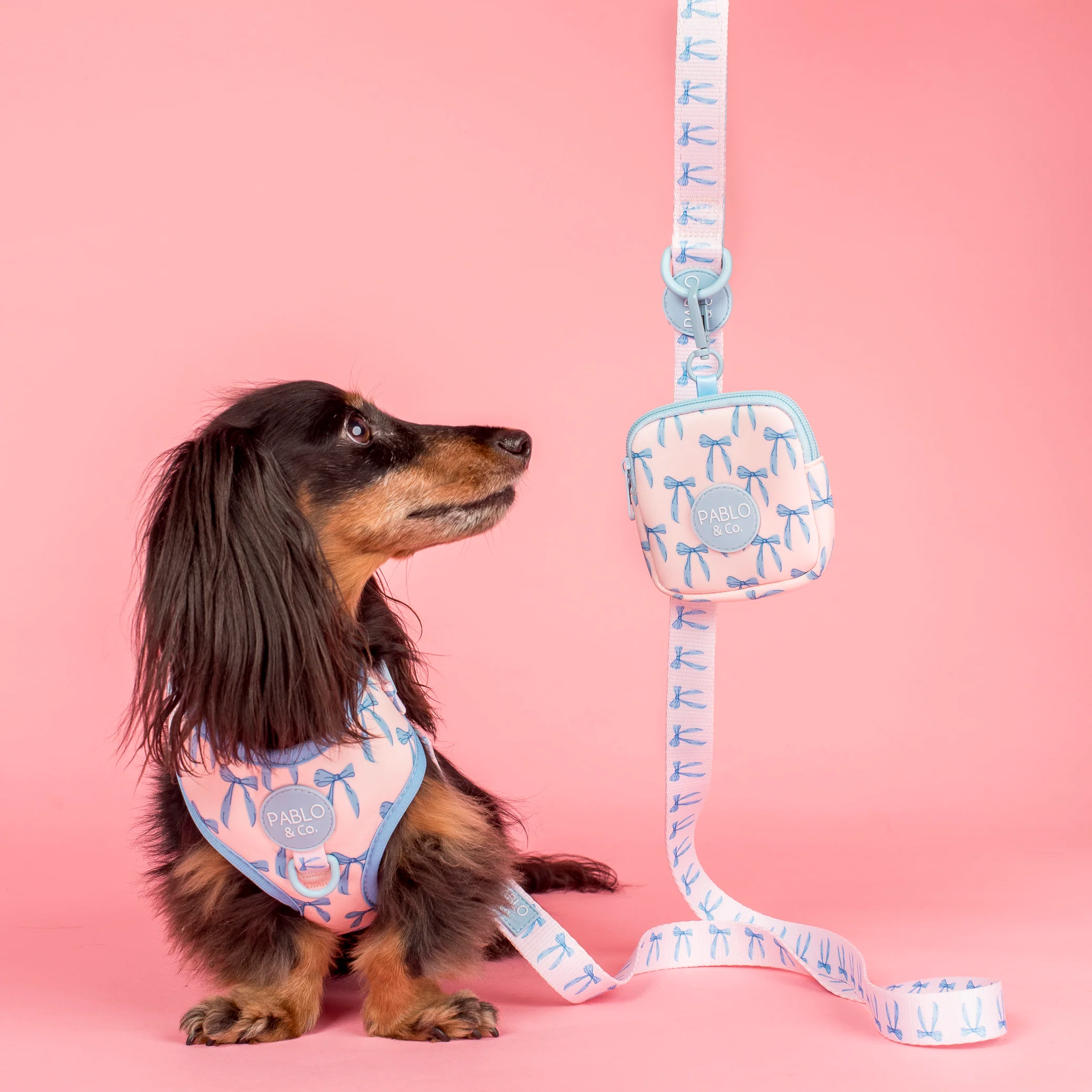 Baby Blue Bows: Treat Pouch - Image 4