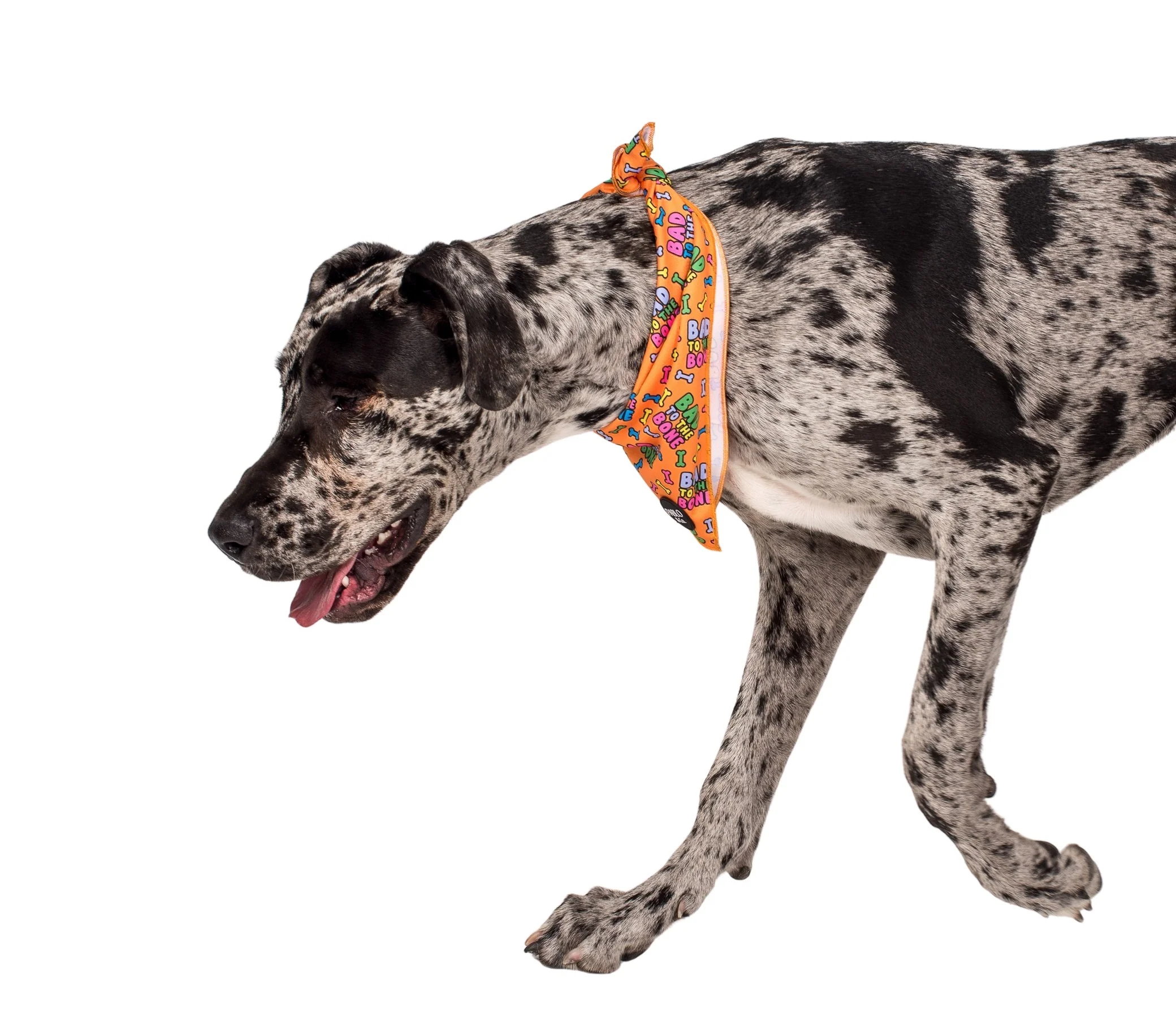 Bad to the Bone - Dog Bandana - Image 3