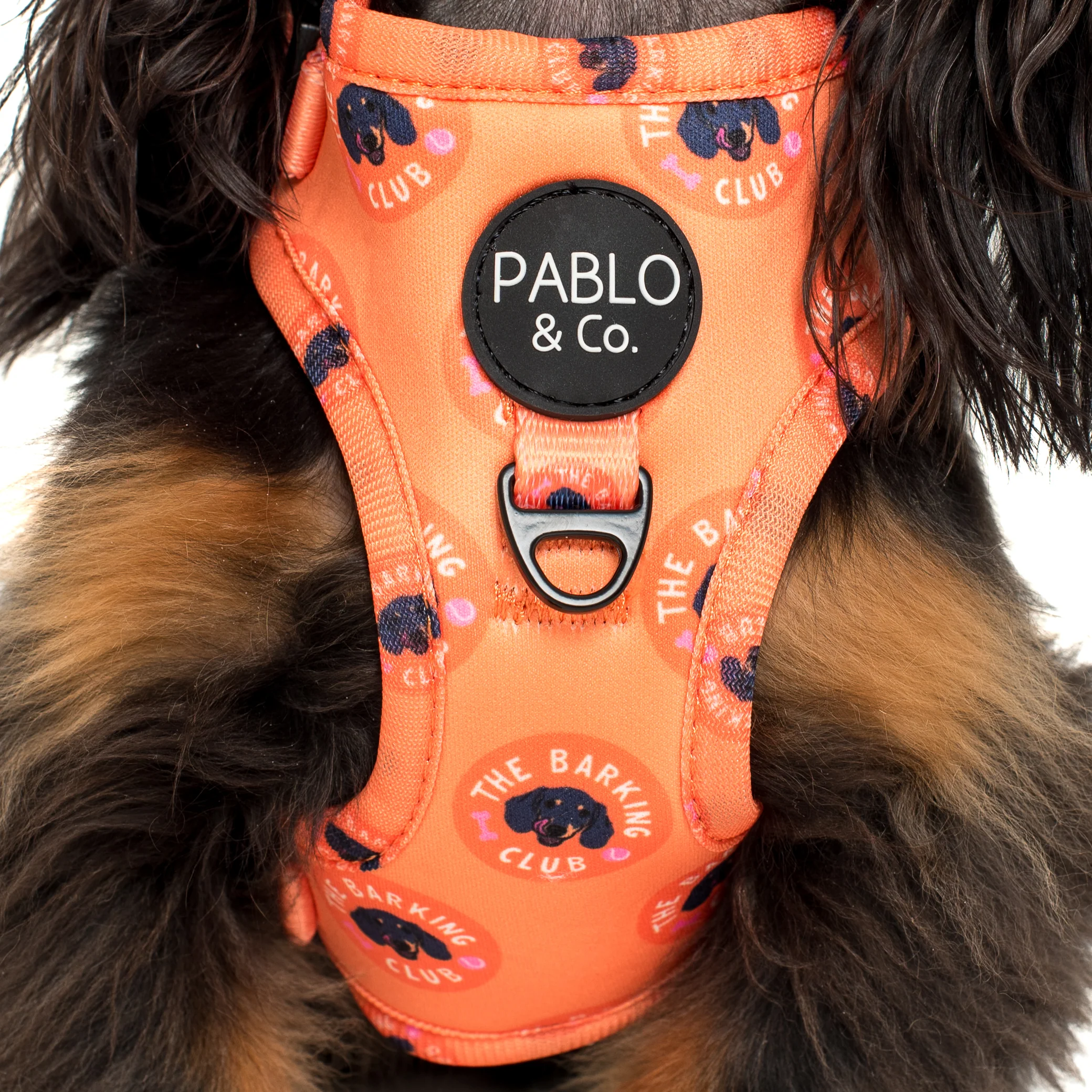 Bark Club: Adjustable Harness - Image 2