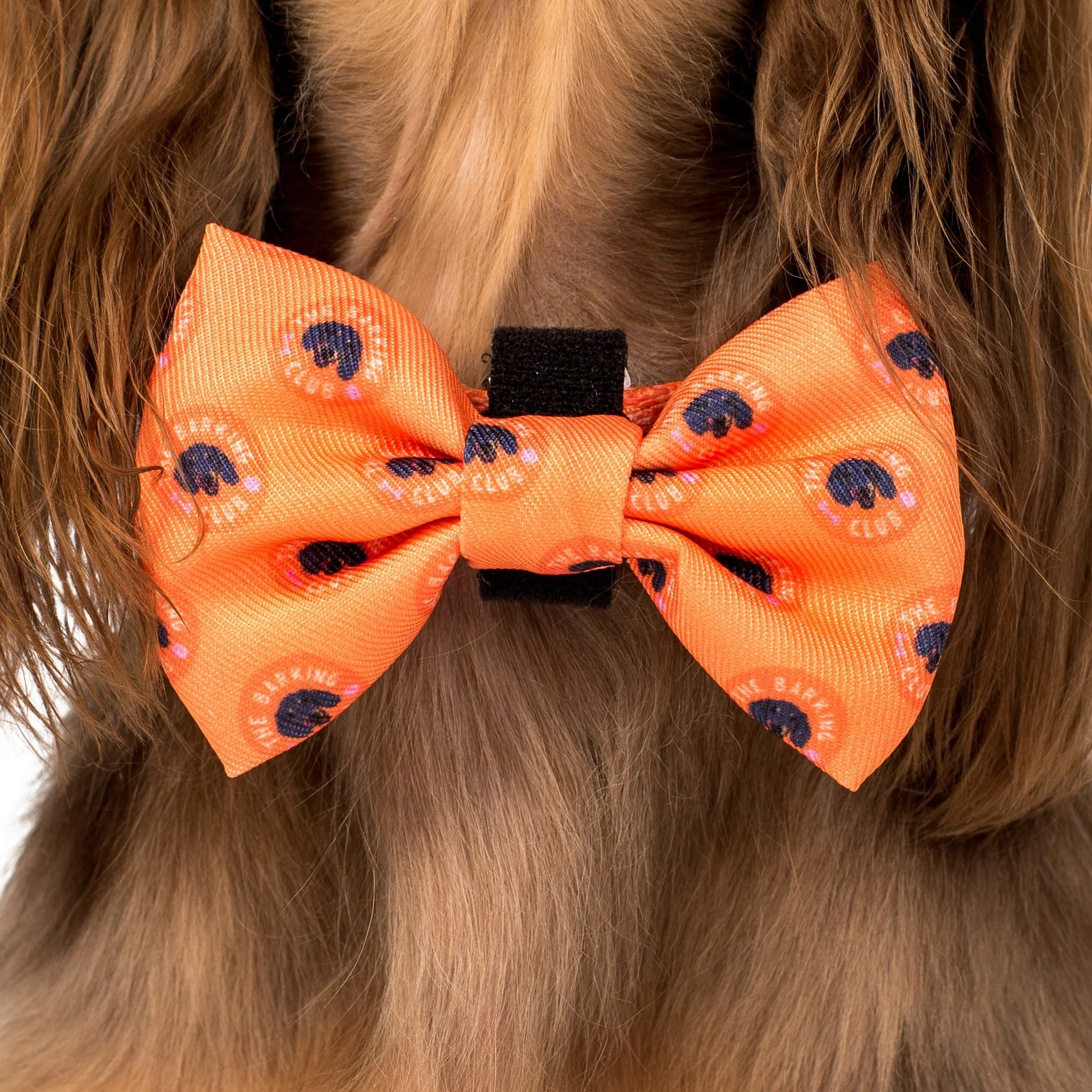 Bark Club: Bow Tie - Image 2