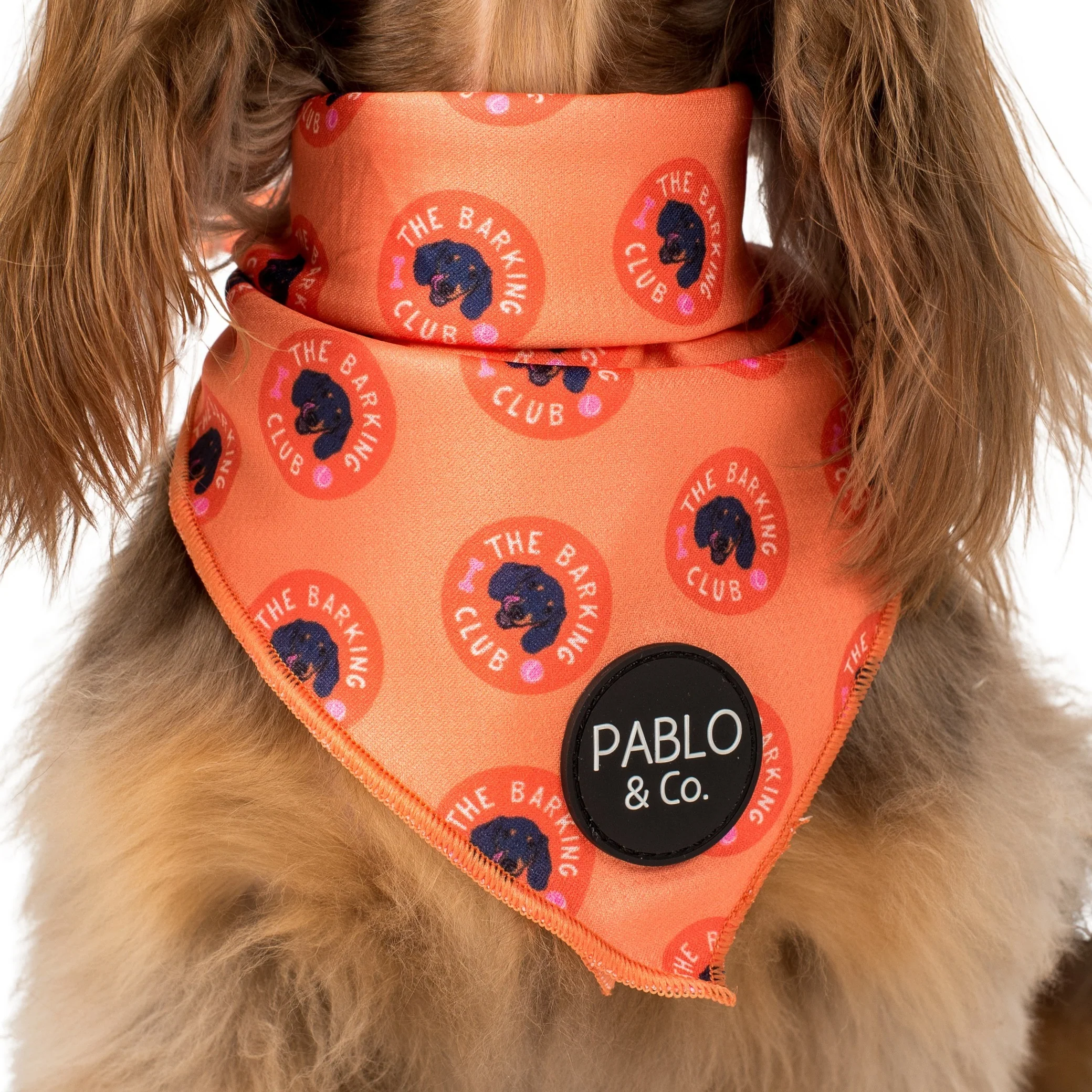 Bark Club - Dog Bandana - Image 2