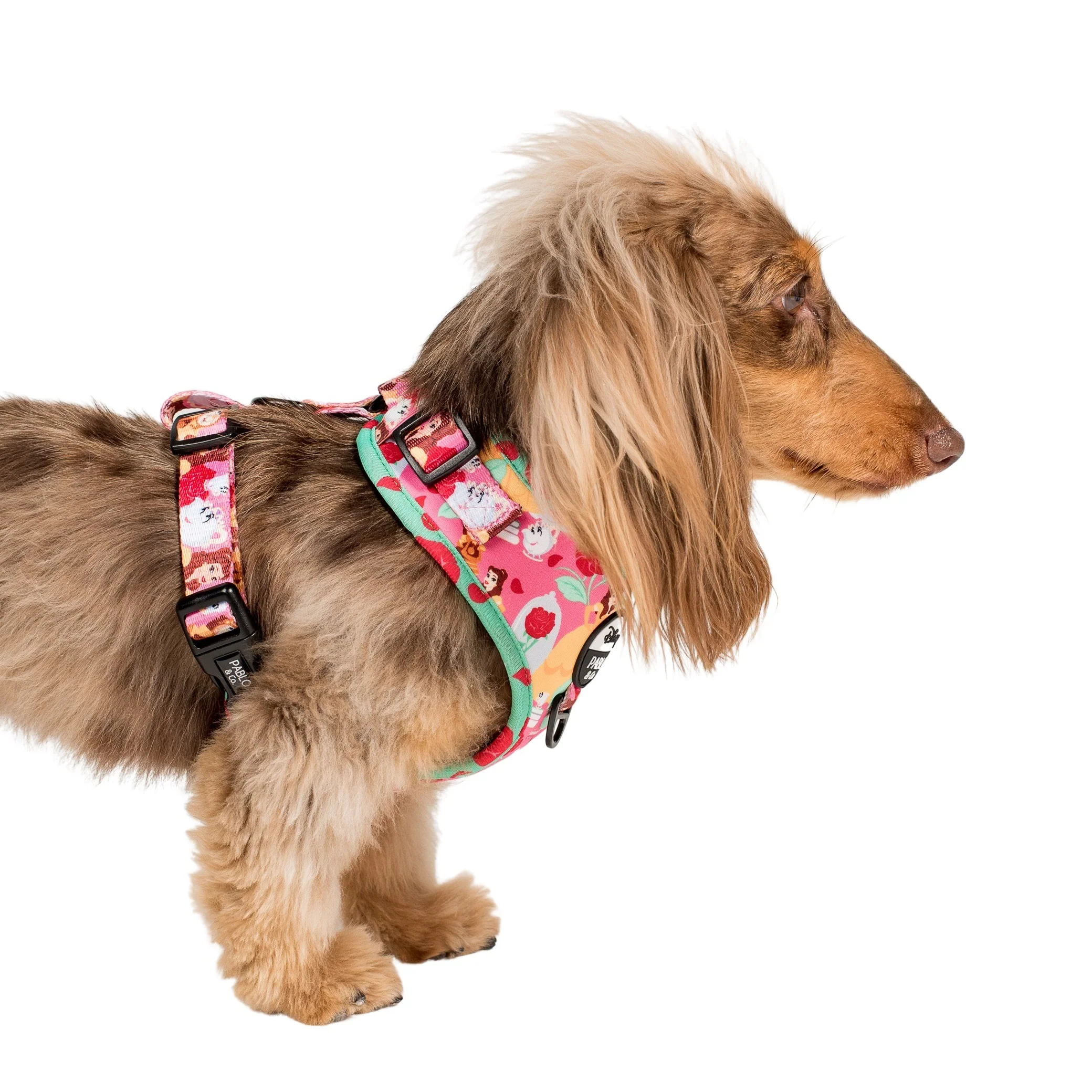 Beauty and the Beast: Adjustable Harness - Image 3