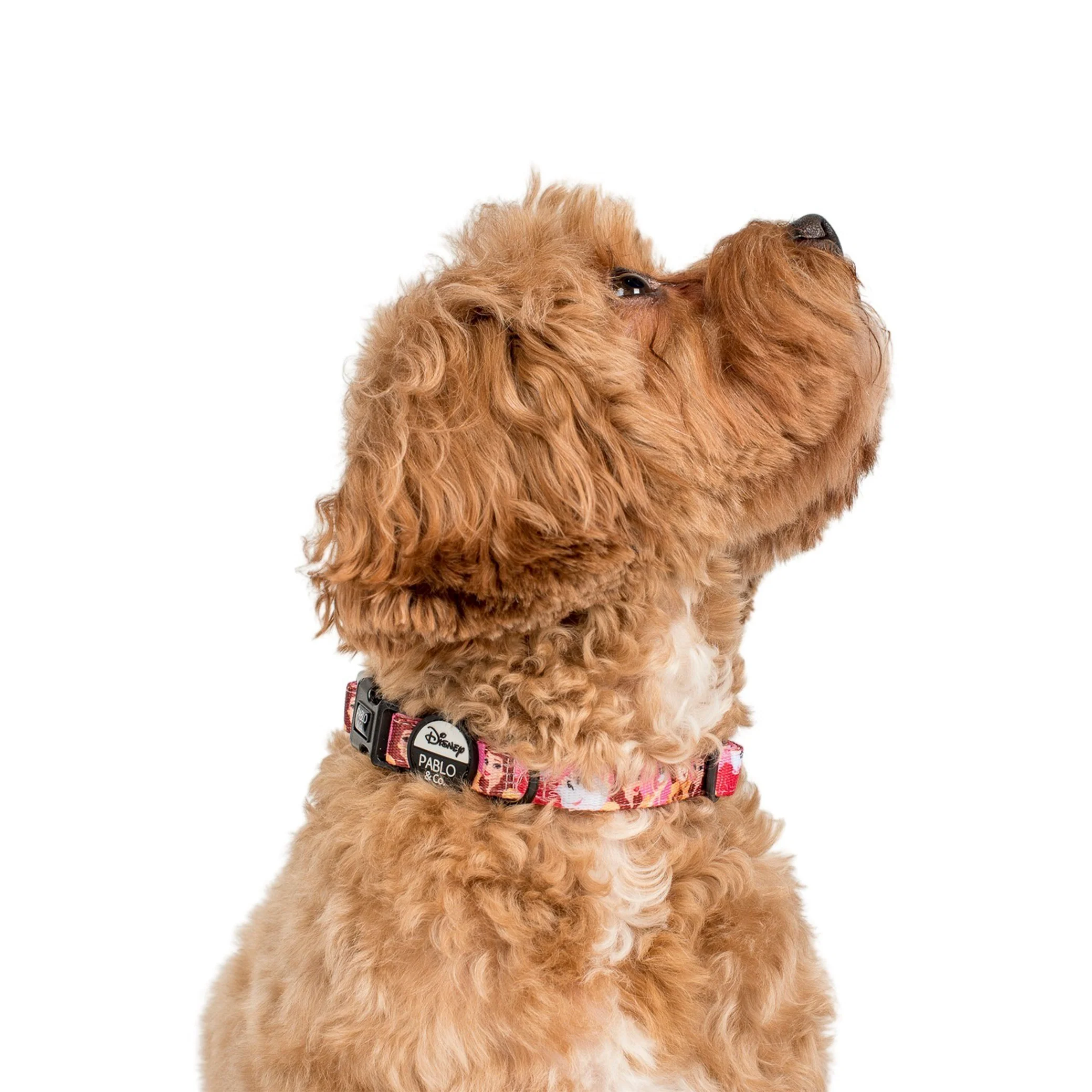Beauty and the Beast: Dog Collar - Image 3