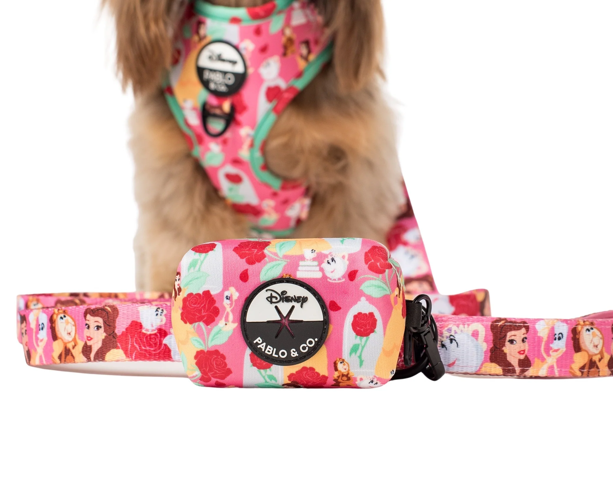 Beauty and the Beast: Poop Bag Holder