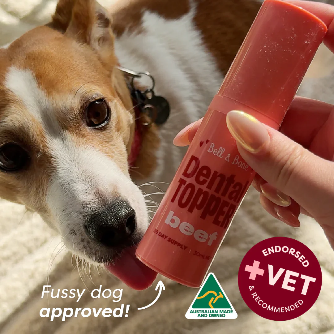 Bell & Bone Dog Dental Toppers - Image 9