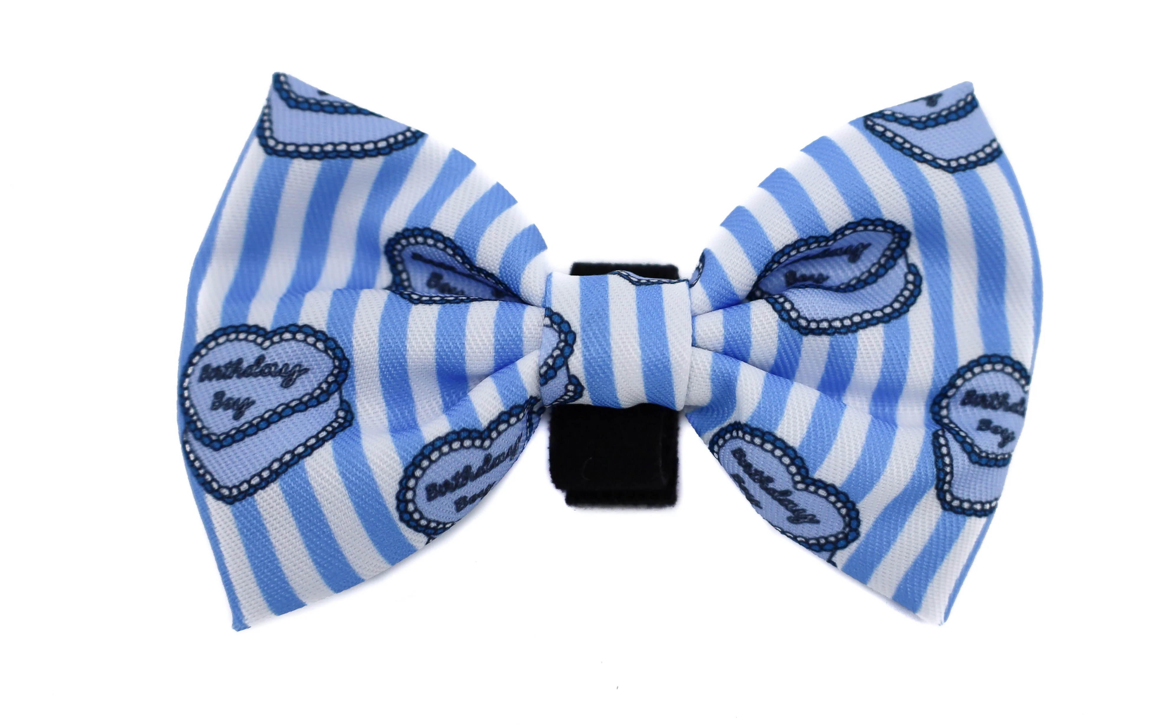 Birthday Boy: Bow Tie - Image 4