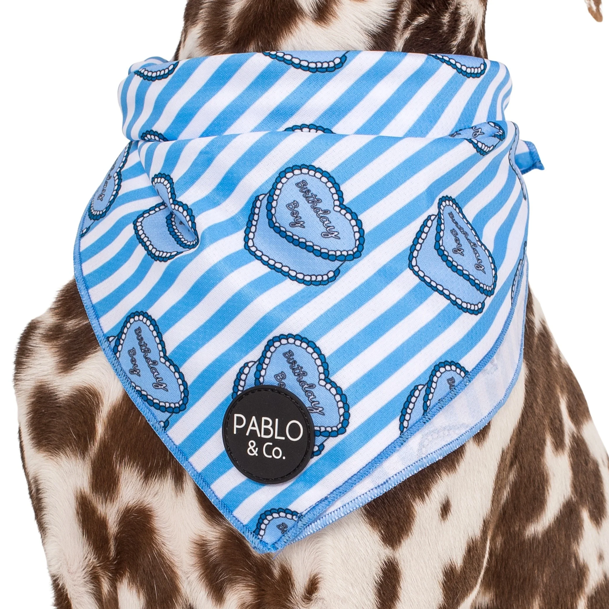 Birthday Boy - Dog Bandana - Image 2