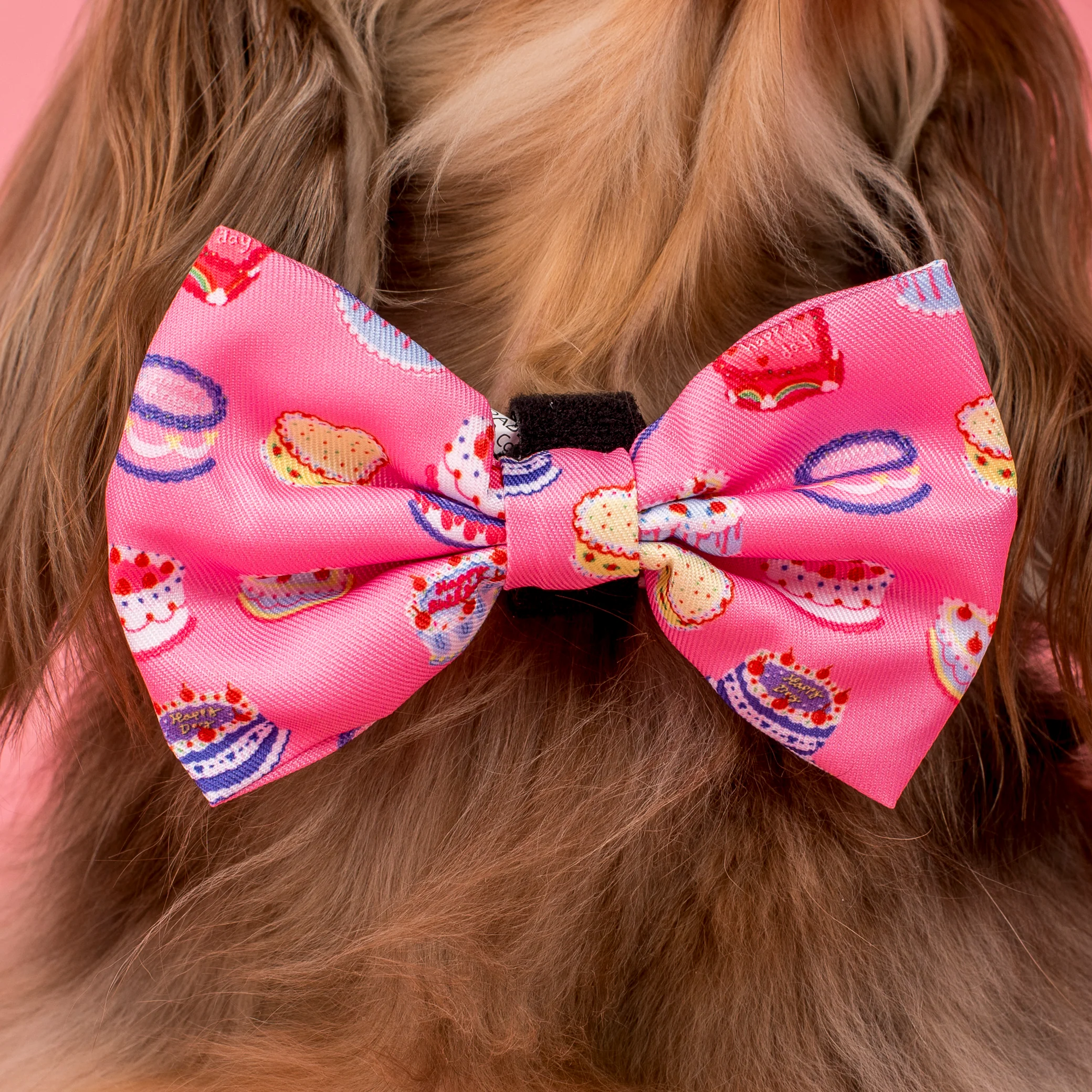 Birthday Buttercream: Bow Tie