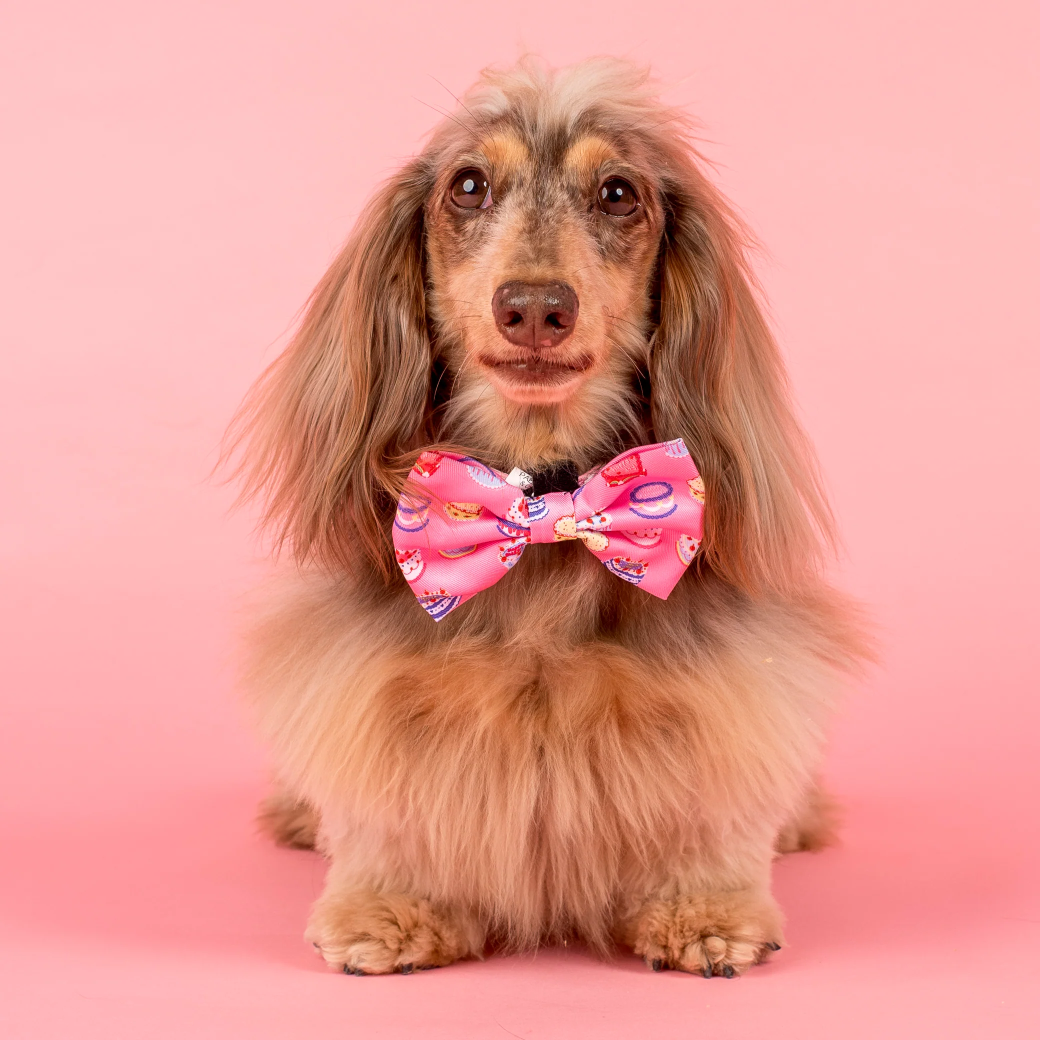 Birthday Buttercream: Bow Tie - Image 2