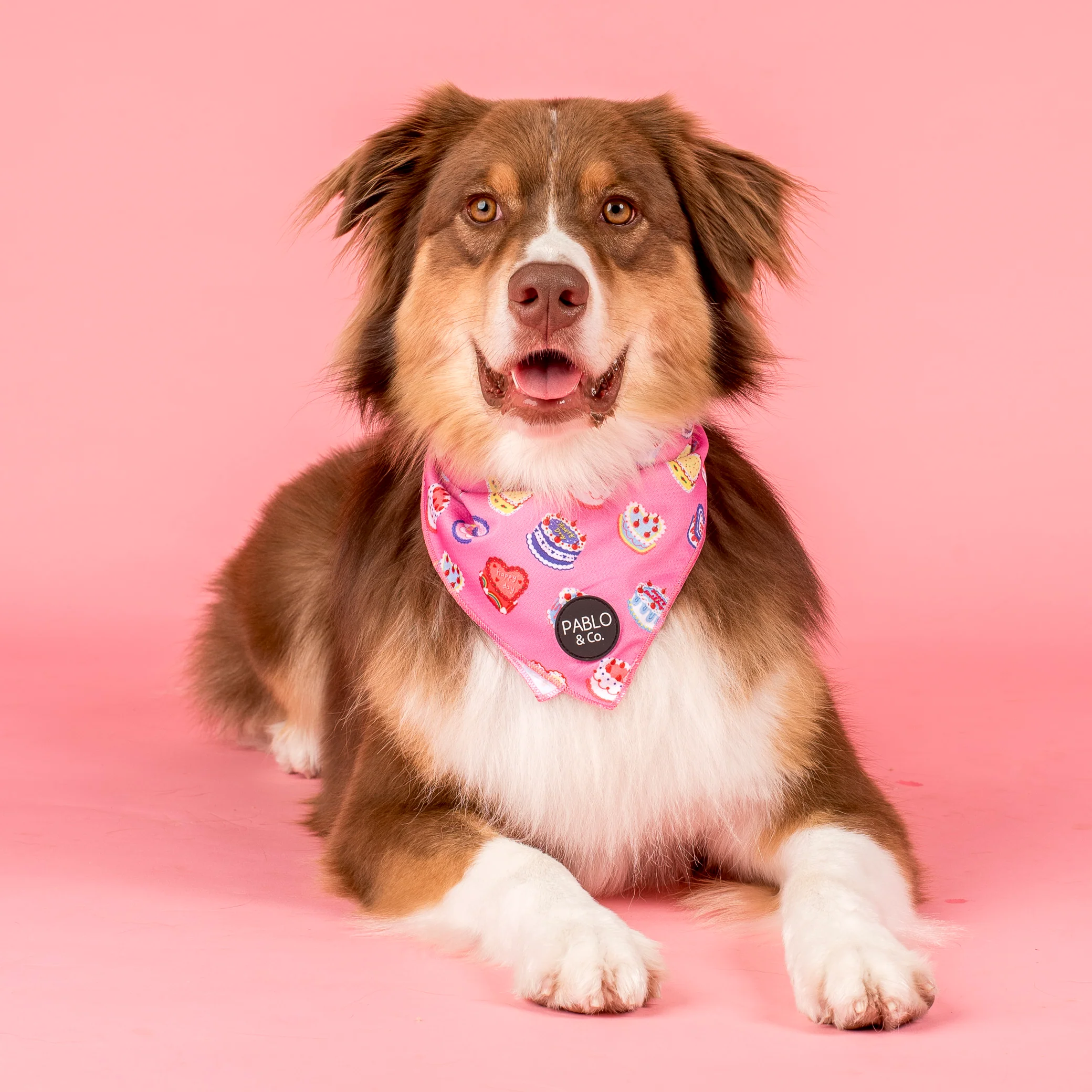 Birthday Buttercream: Dog Bandana