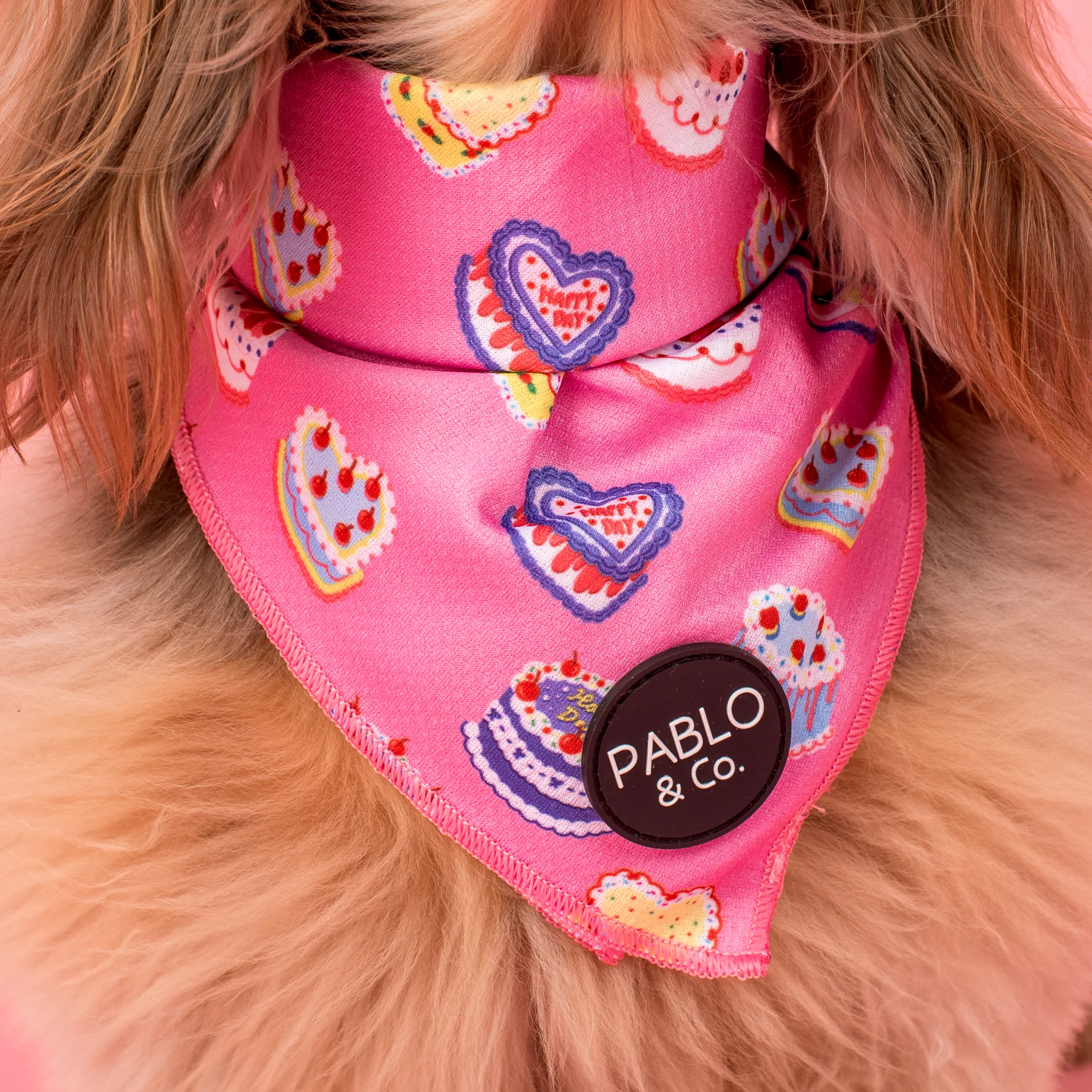 Birthday Buttercream: Dog Bandana - Image 2