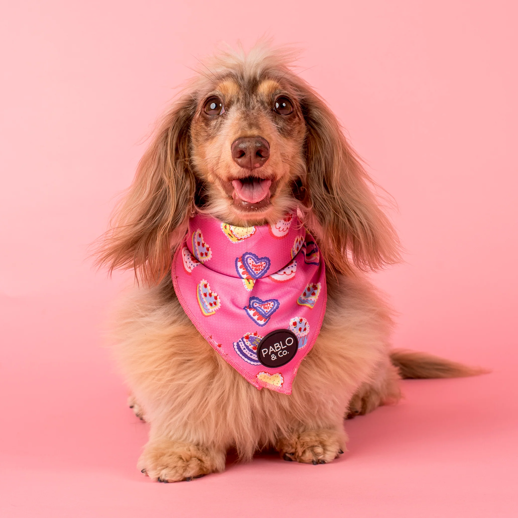 Birthday Buttercream: Dog Bandana - Image 3