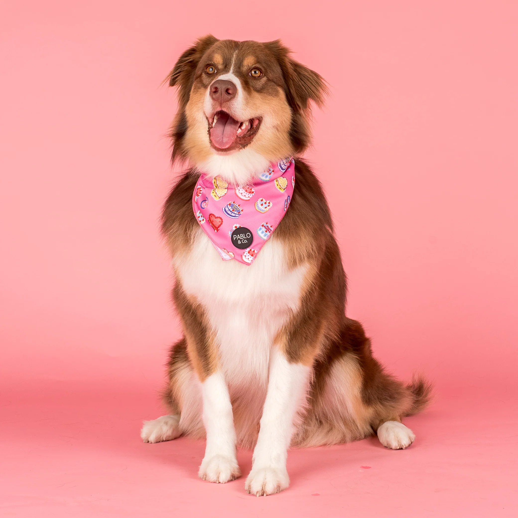 Birthday Buttercream: Dog Bandana - Image 4