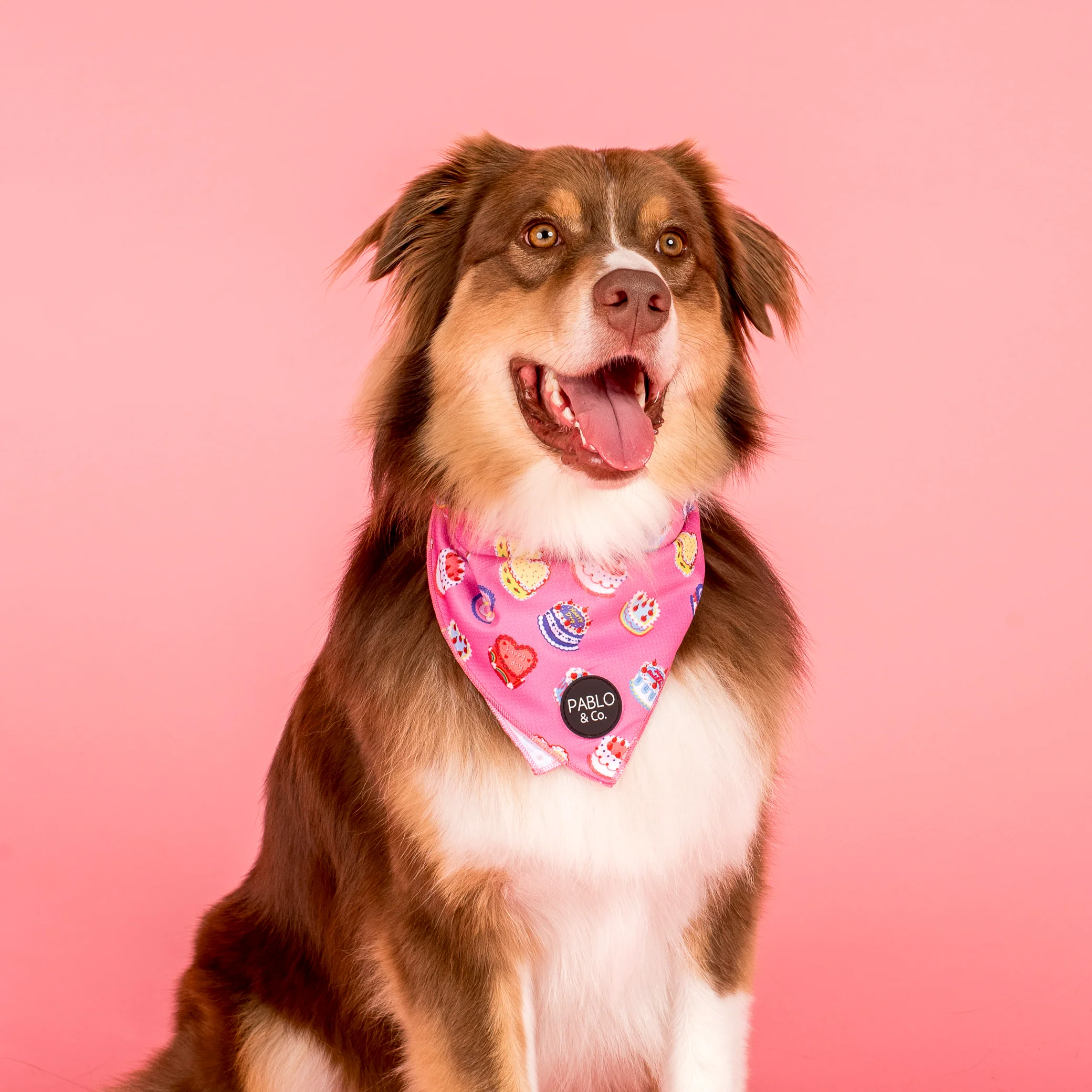 Birthday Buttercream: Dog Bandana - Image 6