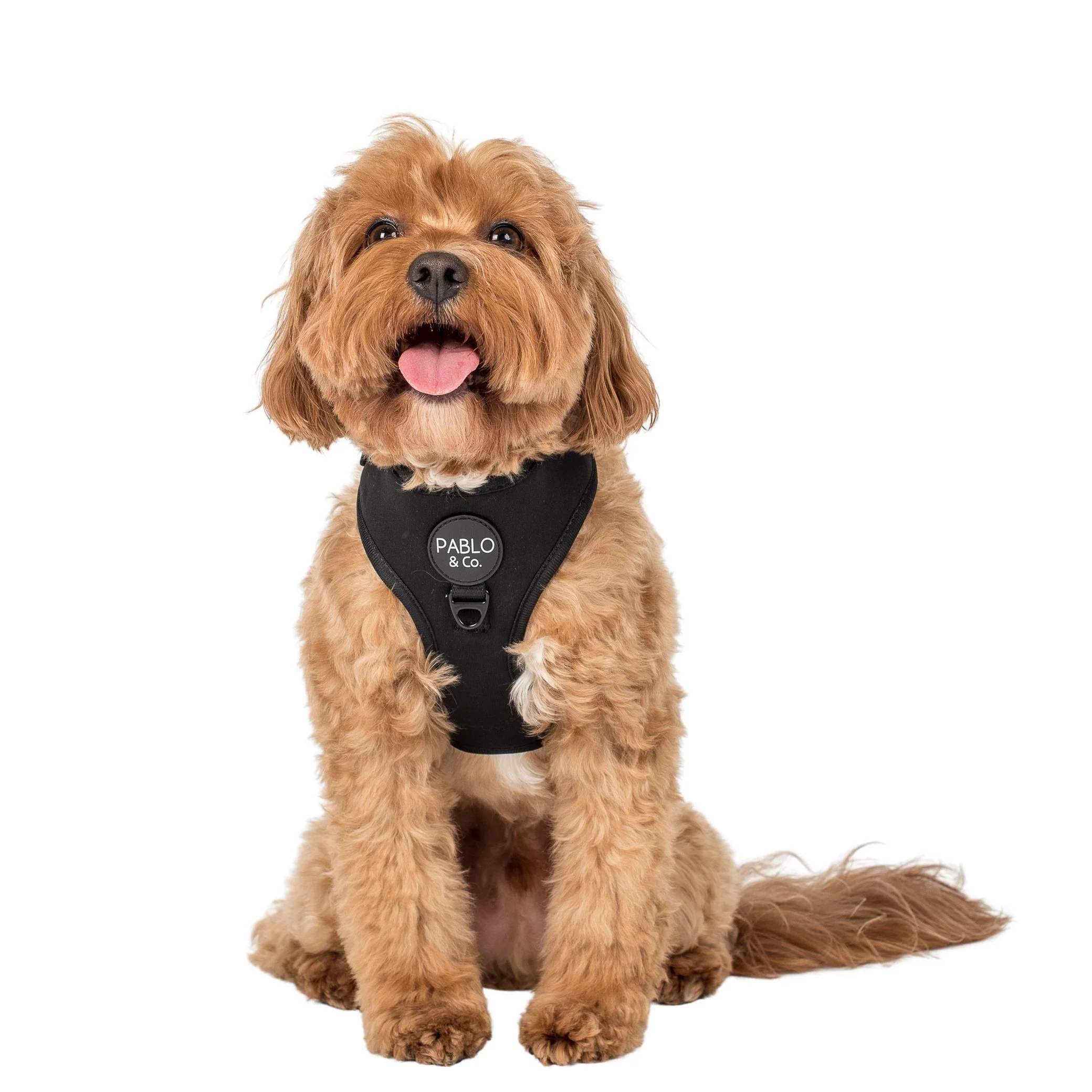 Black: Adjustable Harness - Image 3
