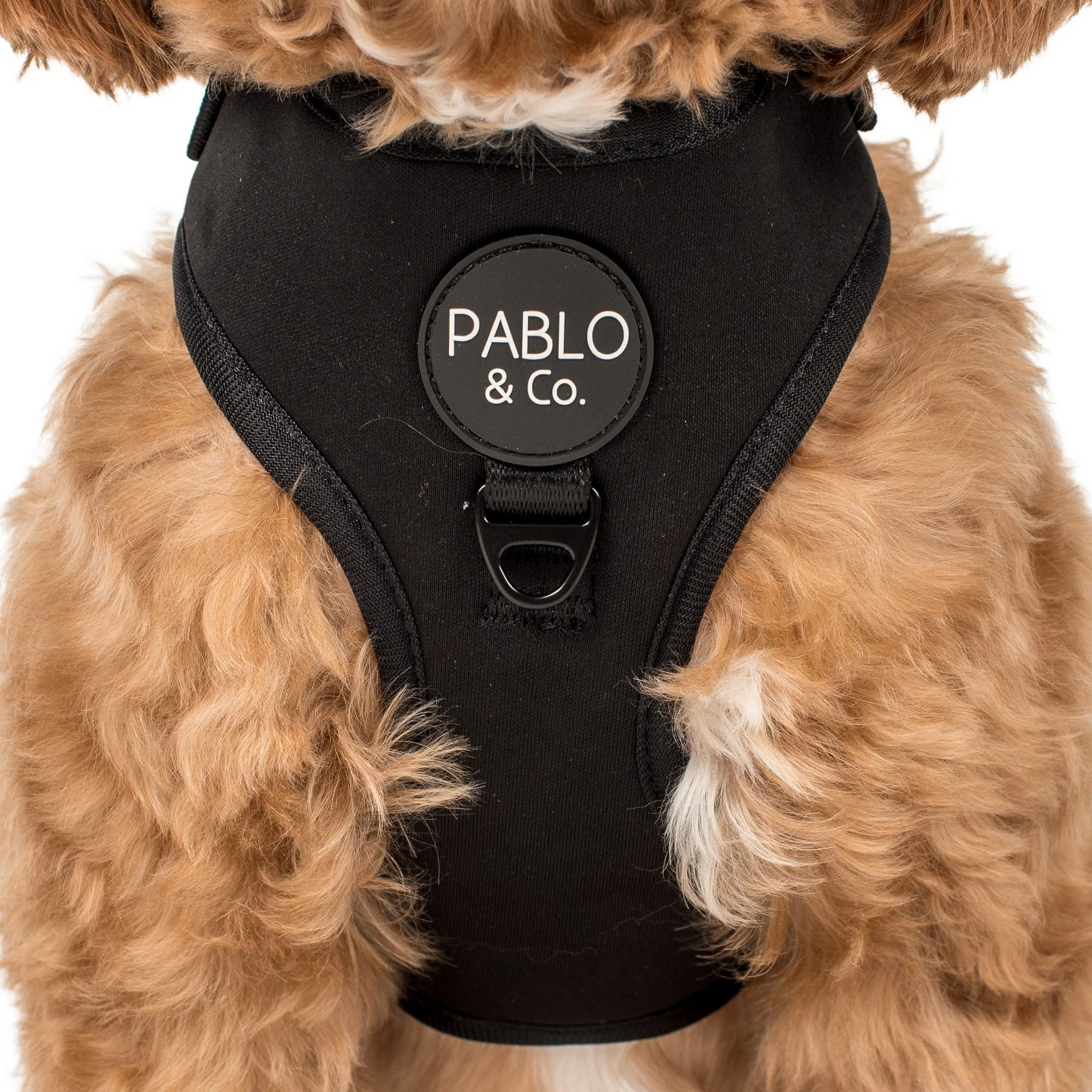 Black: Adjustable Harness - Image 4