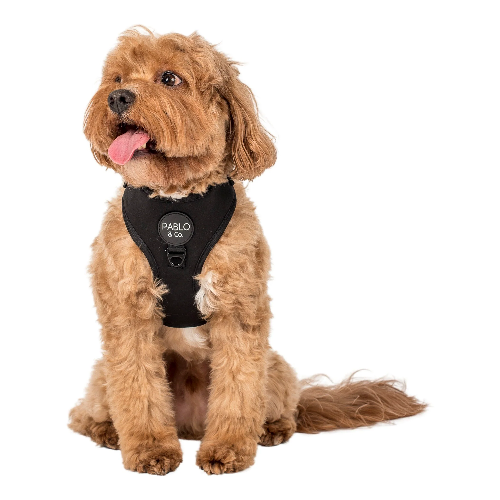 Black: Adjustable Harness - Image 5