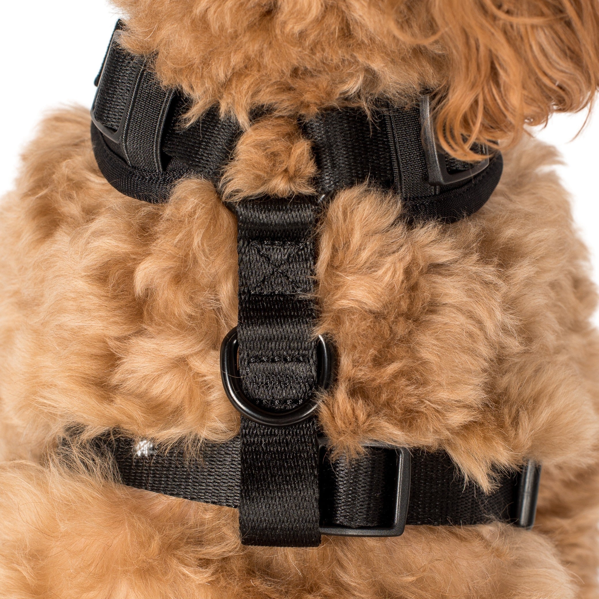 Black: Adjustable Harness - Image 7