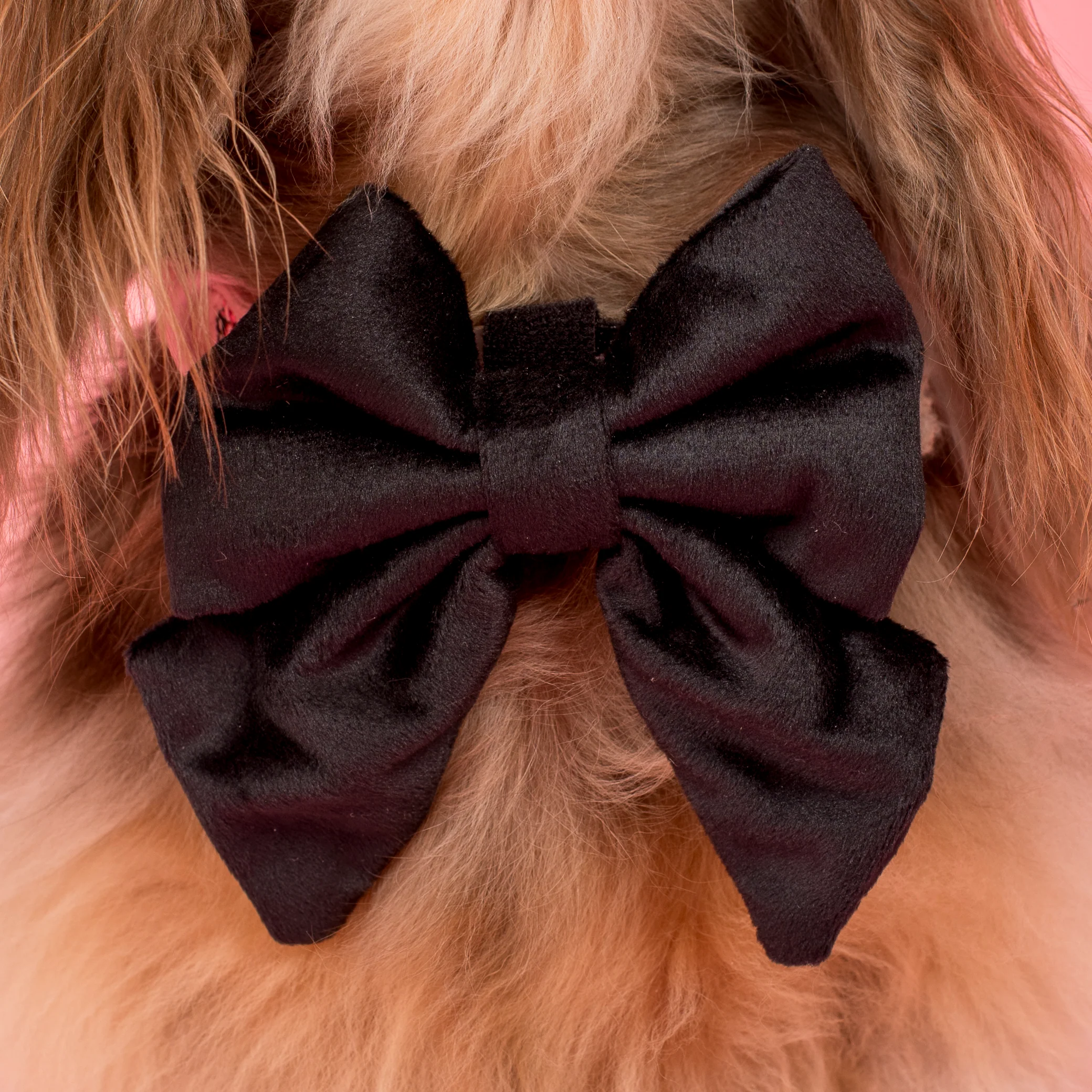 Black Velvet Sailor Bow Tie - Image 2