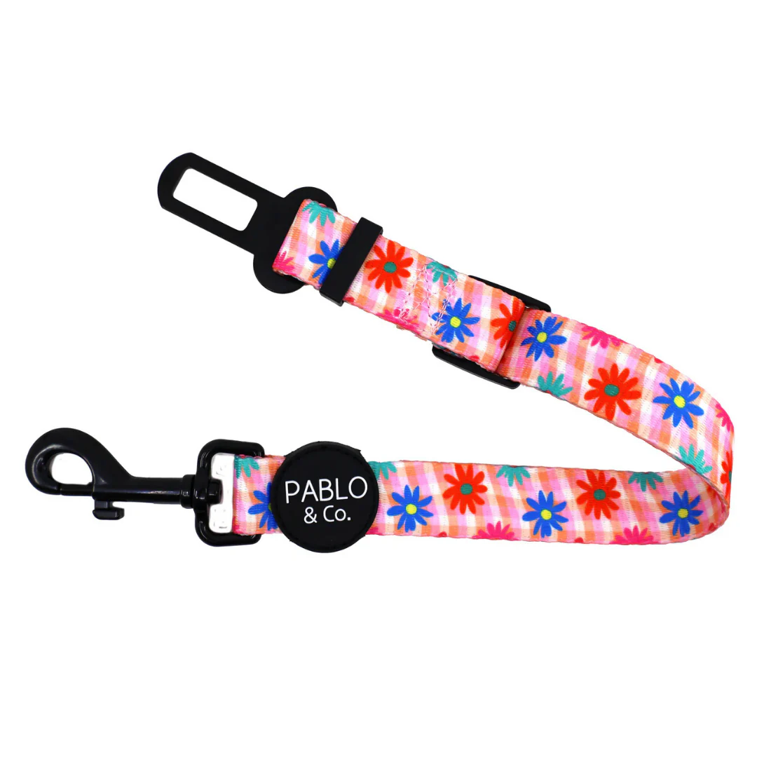 Blossom: Adjustable Car Restraint