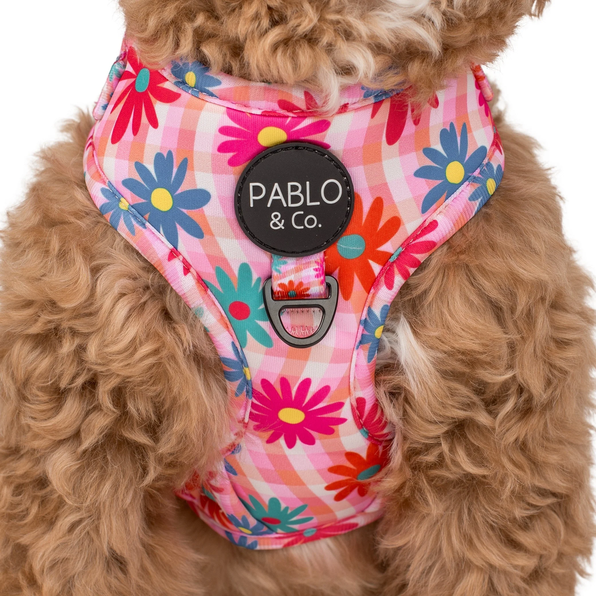 Blossom: Adjustable Harness - Image 2