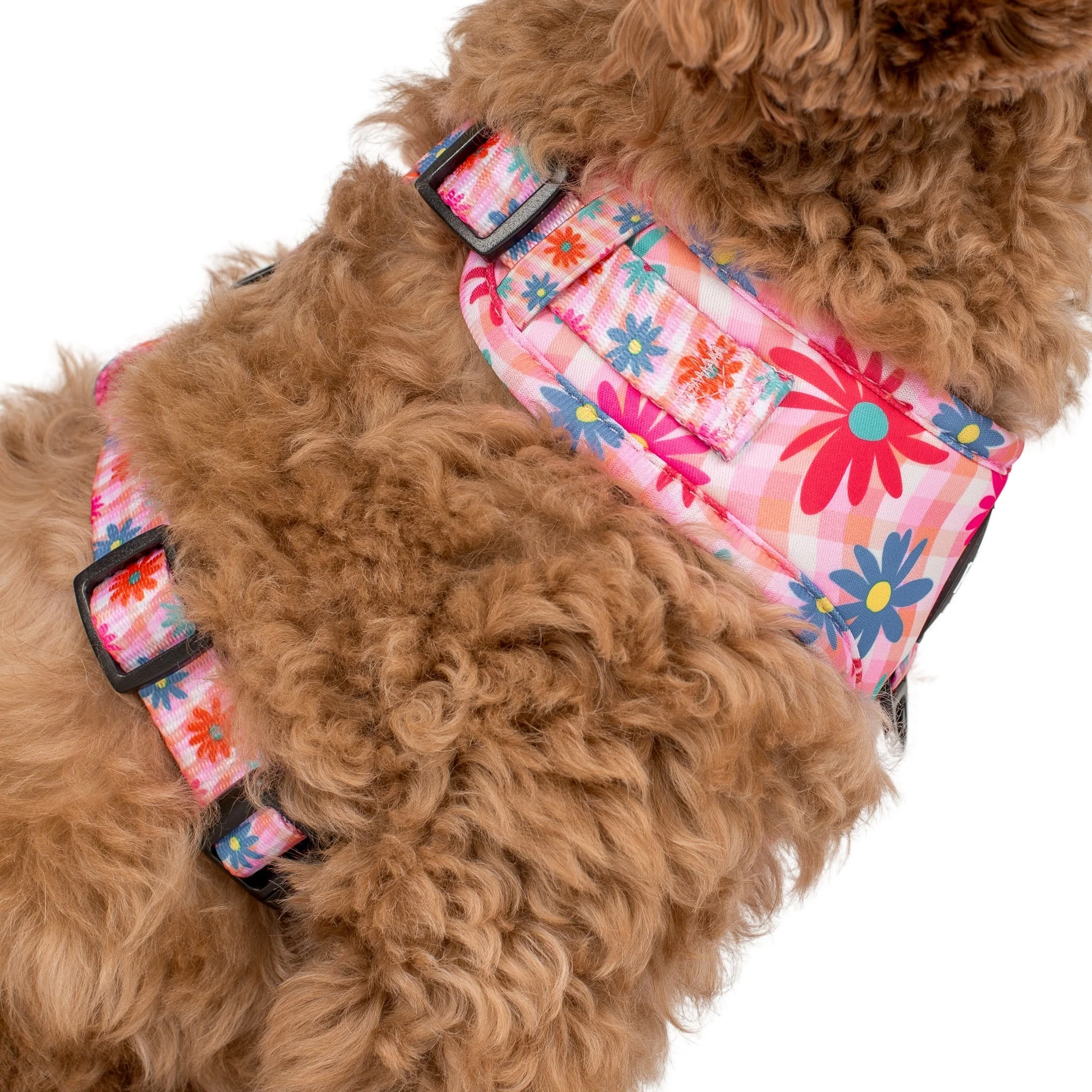 Blossom: Adjustable Harness - Image 7