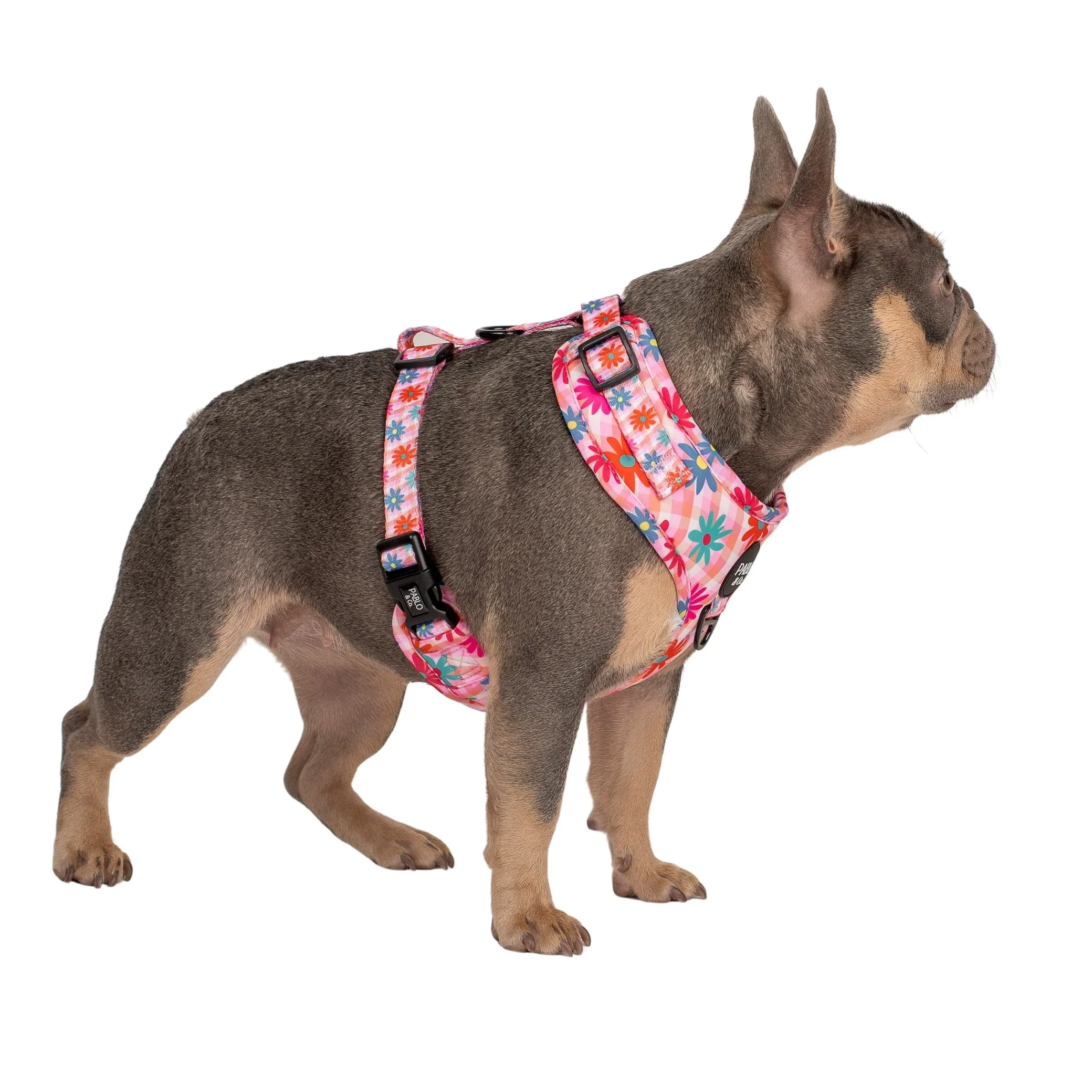 Blossom: Adjustable Harness - Image 9